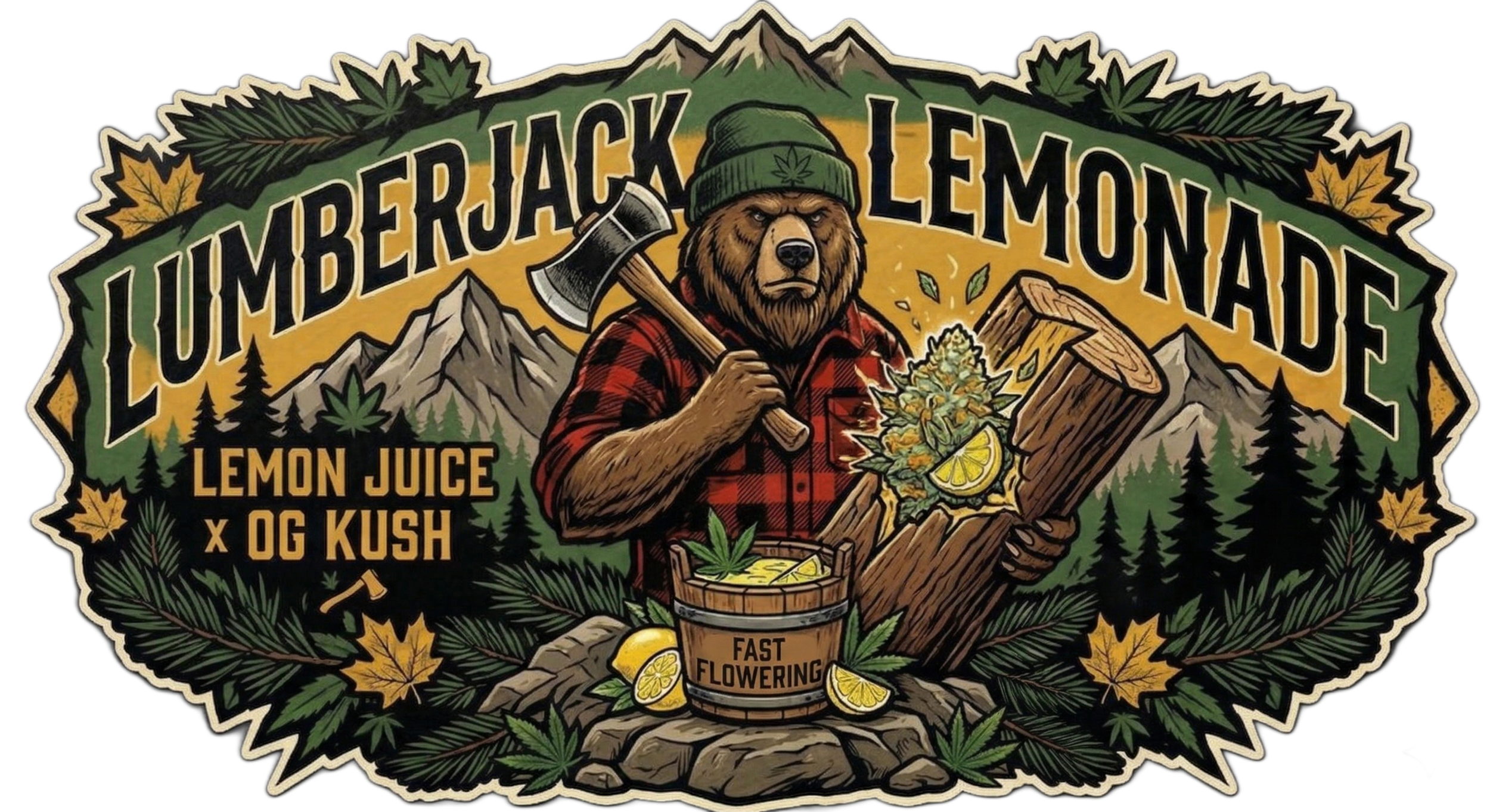 Bears Seeds Lumberjack Lemonade Fast Flower Fem 3 & 6ct Souvenir Pack