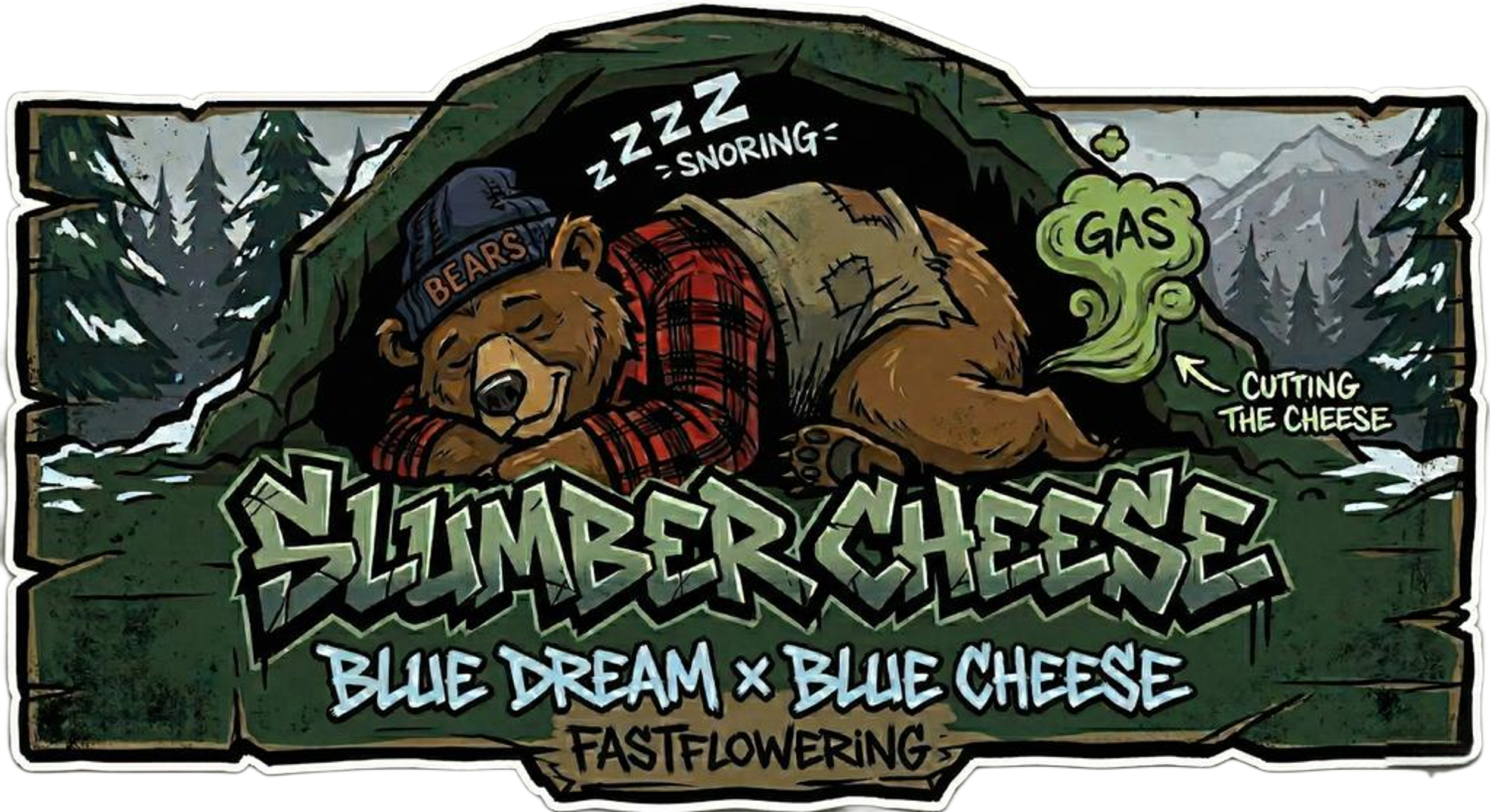 Bears Seeds Slumber Cheese Fast Flower Fem 3 & 6ct Souvenir Pack