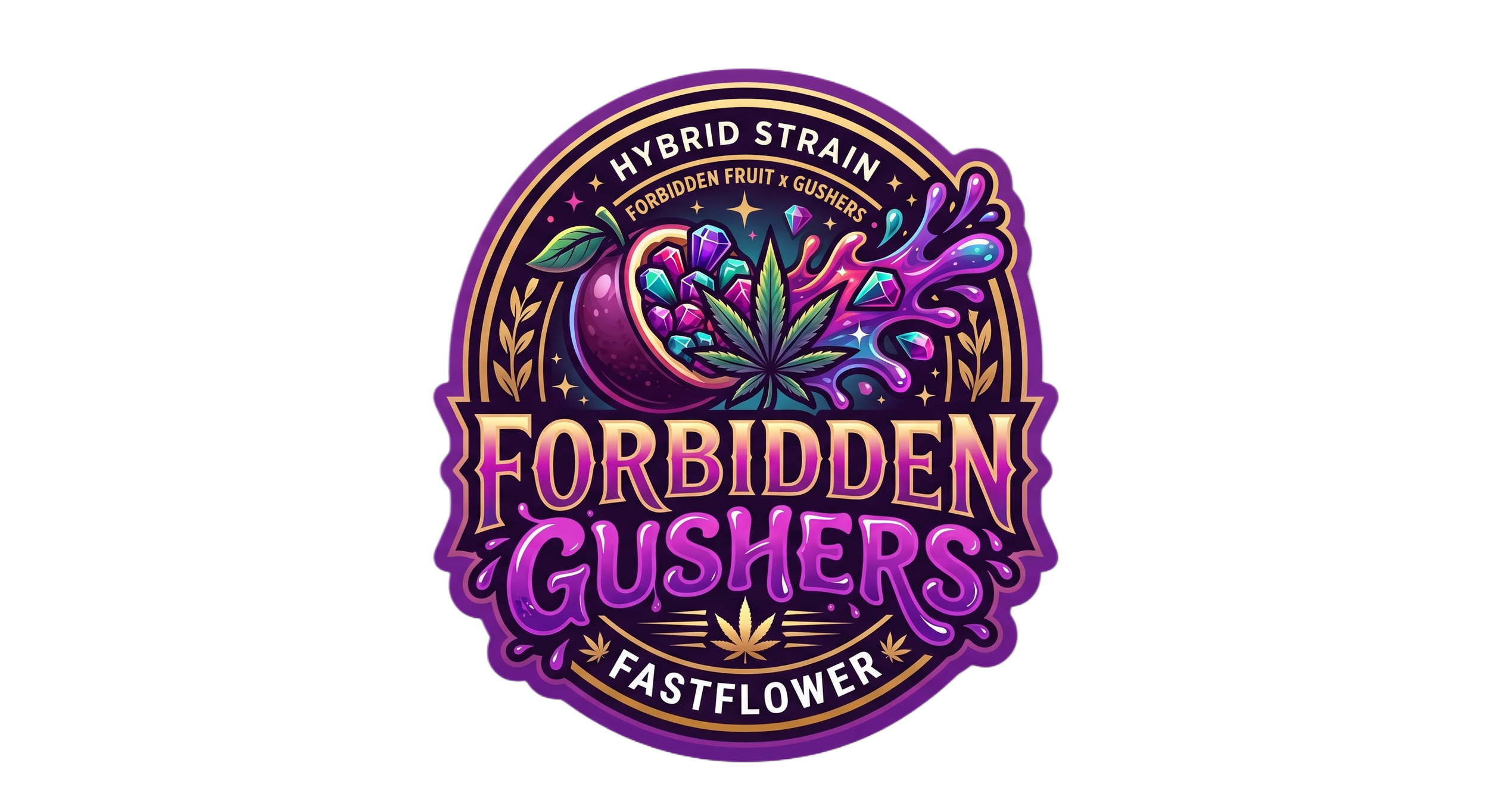 Rocky Moose Seed Bank: Forbidden Gushers Fast Flower Fem 5ct Souvenir Pack