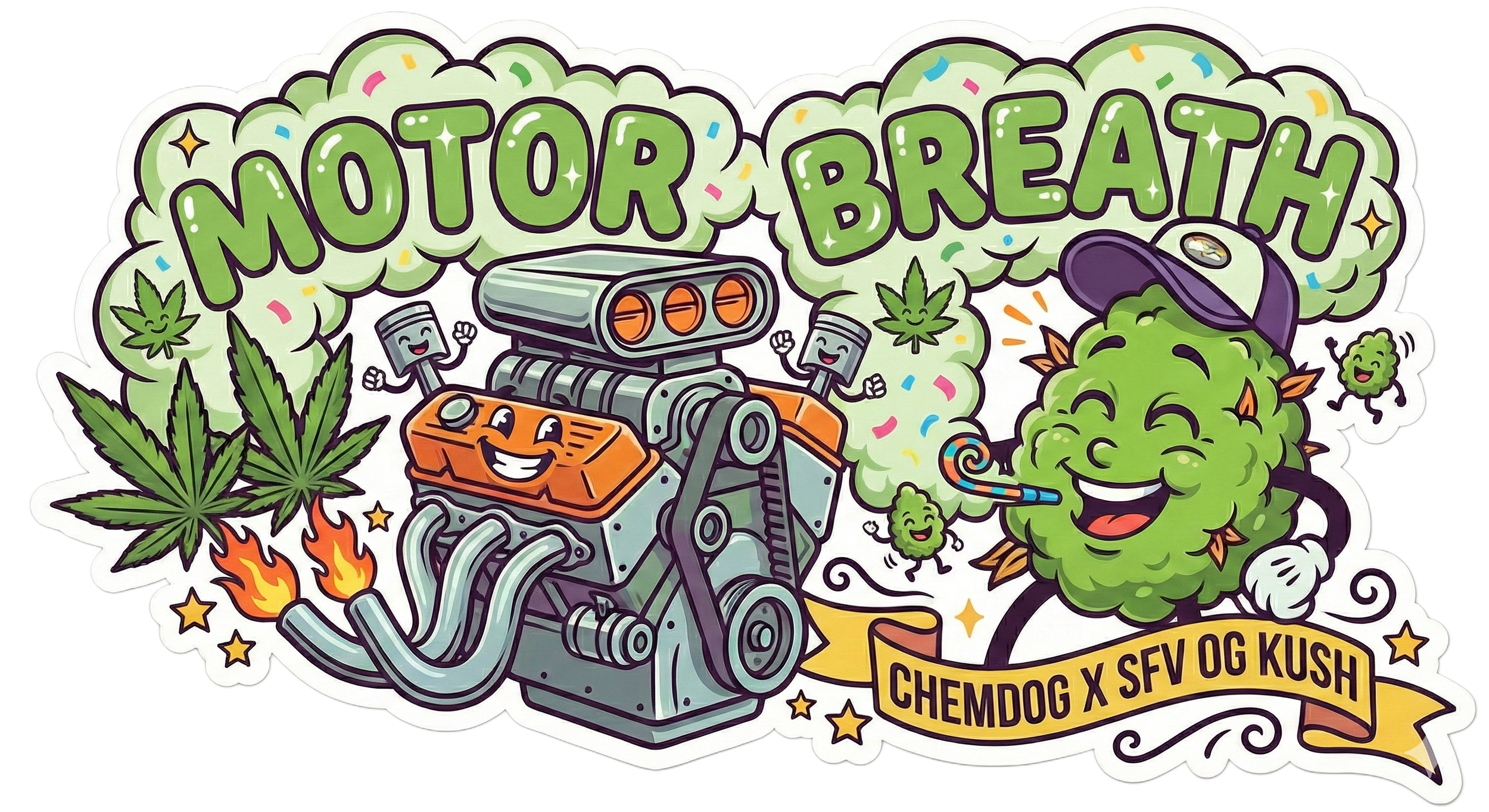 Rocky Moose Seed Bank: Motor Breath Photo Fem 3 & 5ct souvenir pack