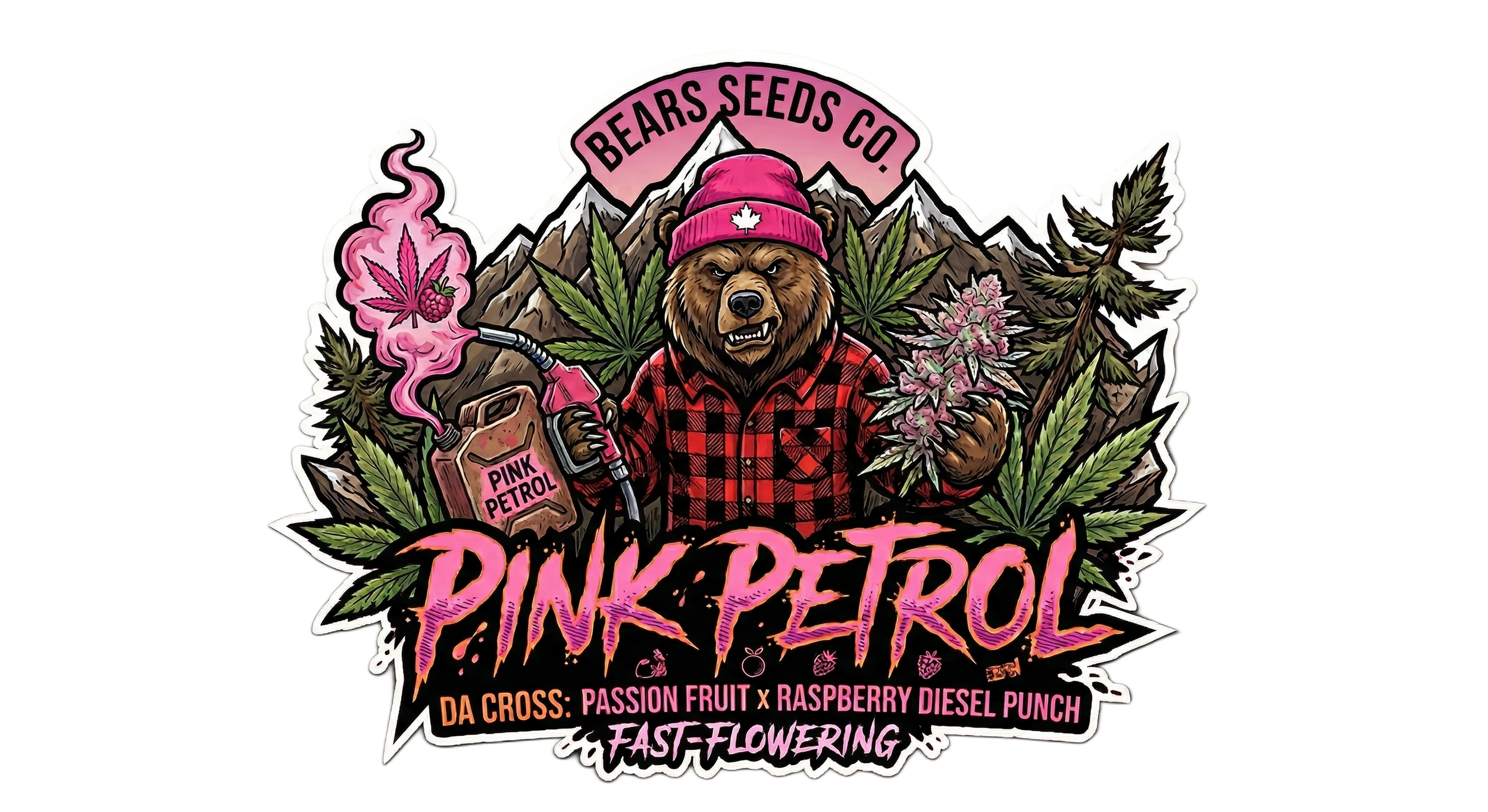 Bears Seeds Pink Petrol Fast Flower Fem 3 & 6ct Souvenir Pack