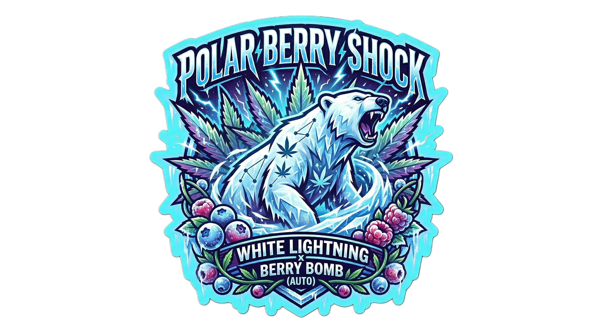 Bears Seeds Polar Berry Shock Auto Fem 3 & 5ct souvenir pack