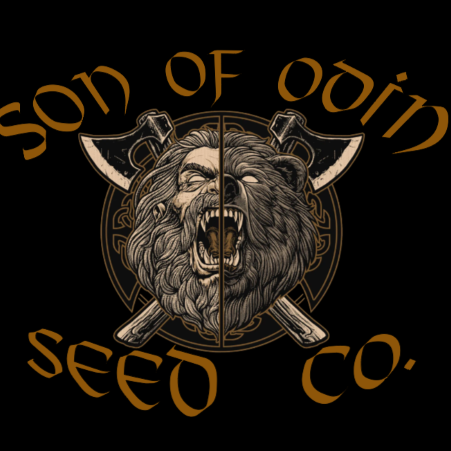 son of odin.png