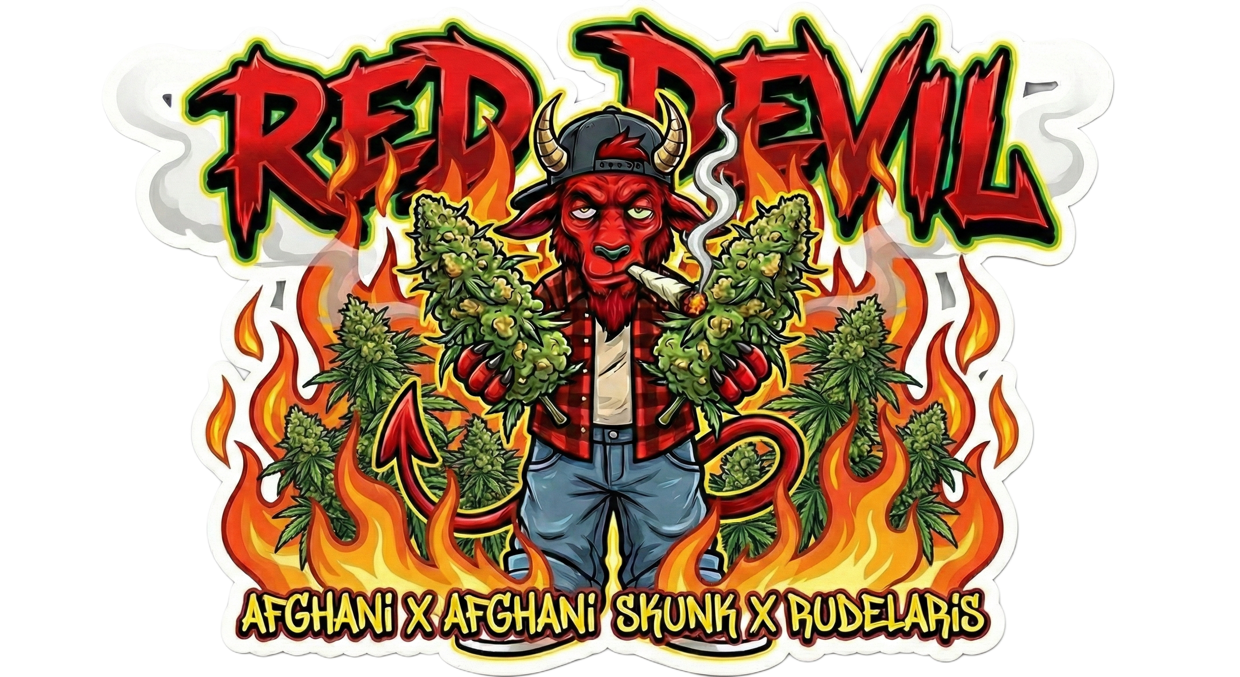 Rocky Moose Seed Bank: Red Devil Auto Fem 3 & 5ct souvenir pack