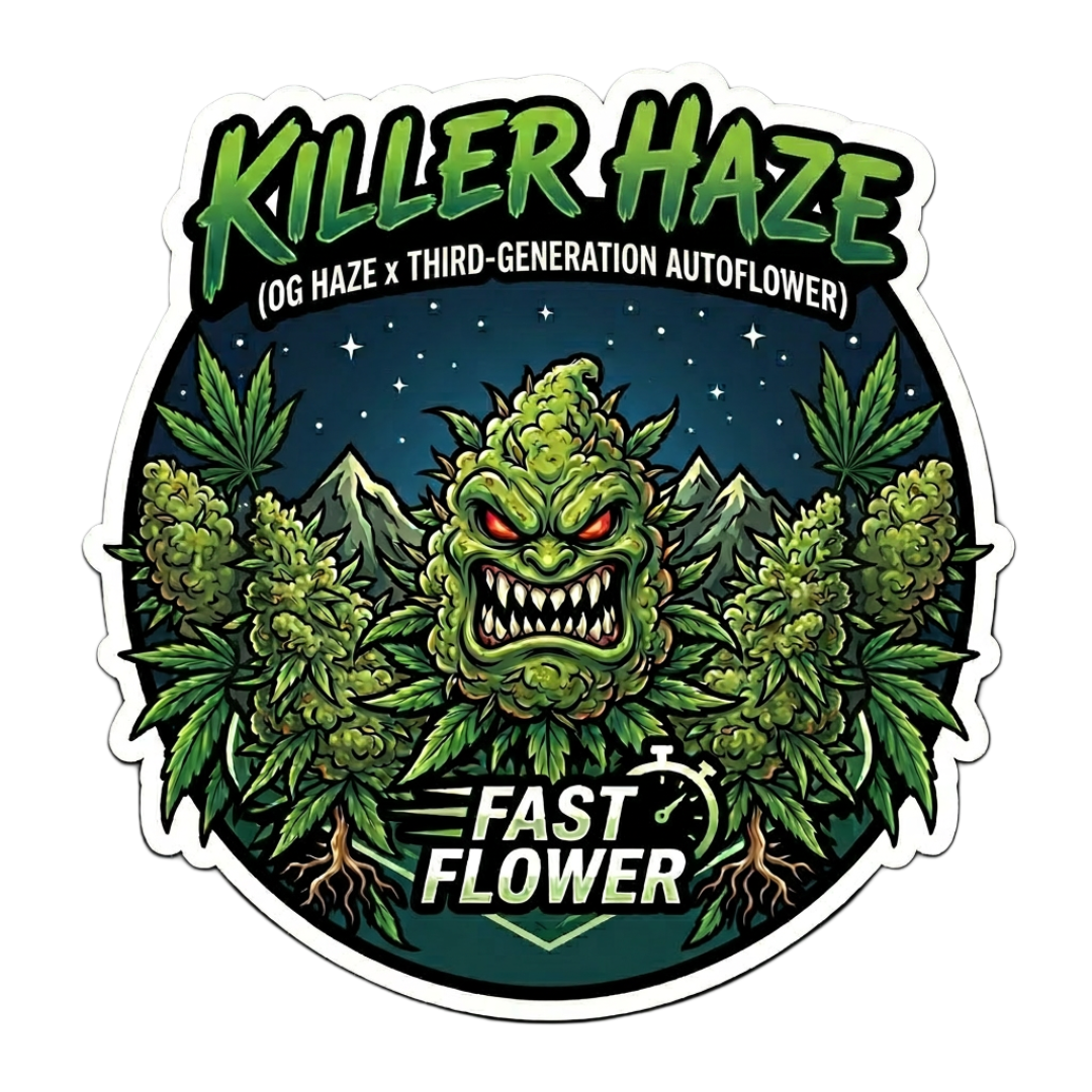 Rocky Moose Seed Bank: Killer Haze Fast Flower Fem 5ct Souvenir Pack