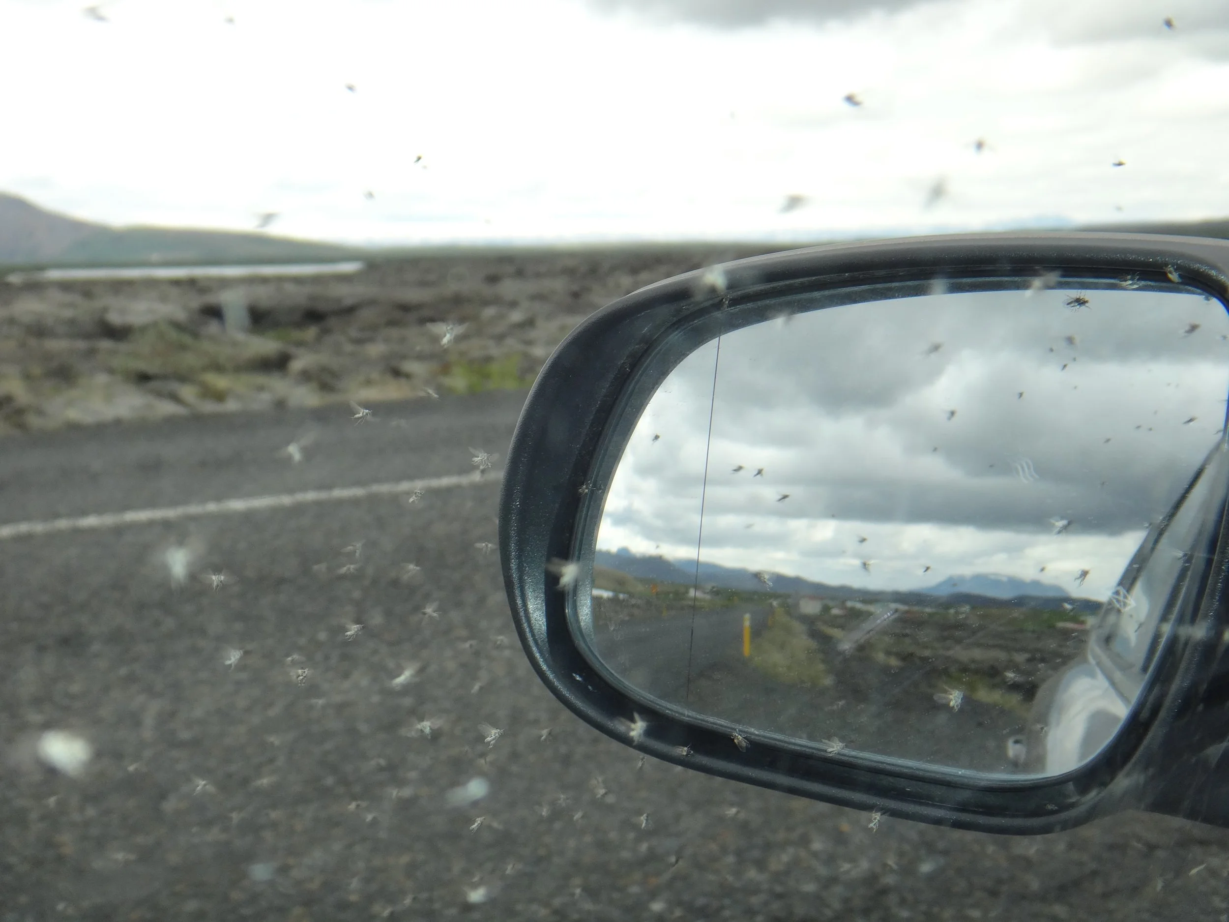 Iceland - Sean_s Camera 1344.JPG