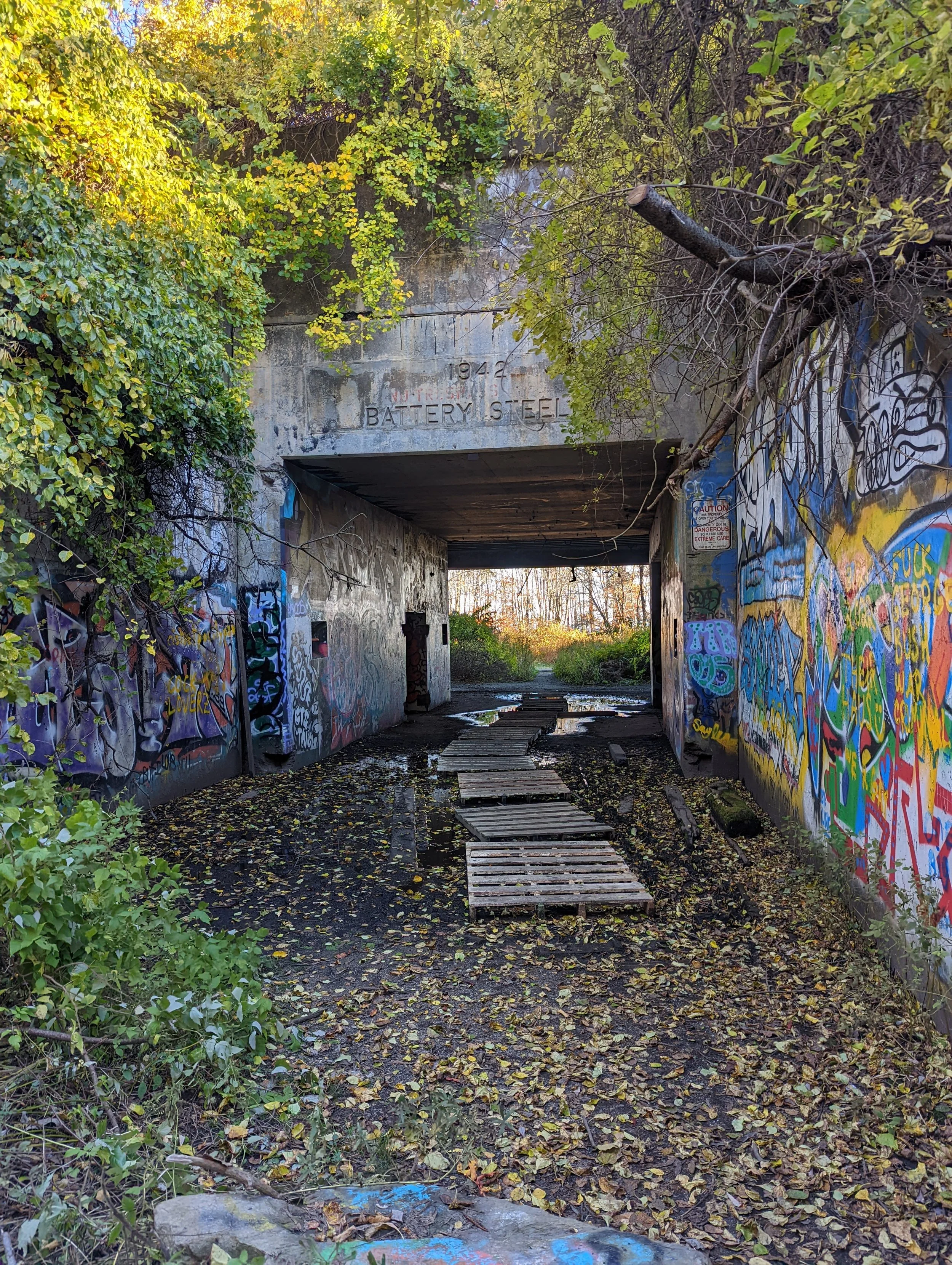 Underpass with graffitied walls, wooden planks on muddy ground, and overgrown foliage on both sides, leading to an opening with trees in the background.