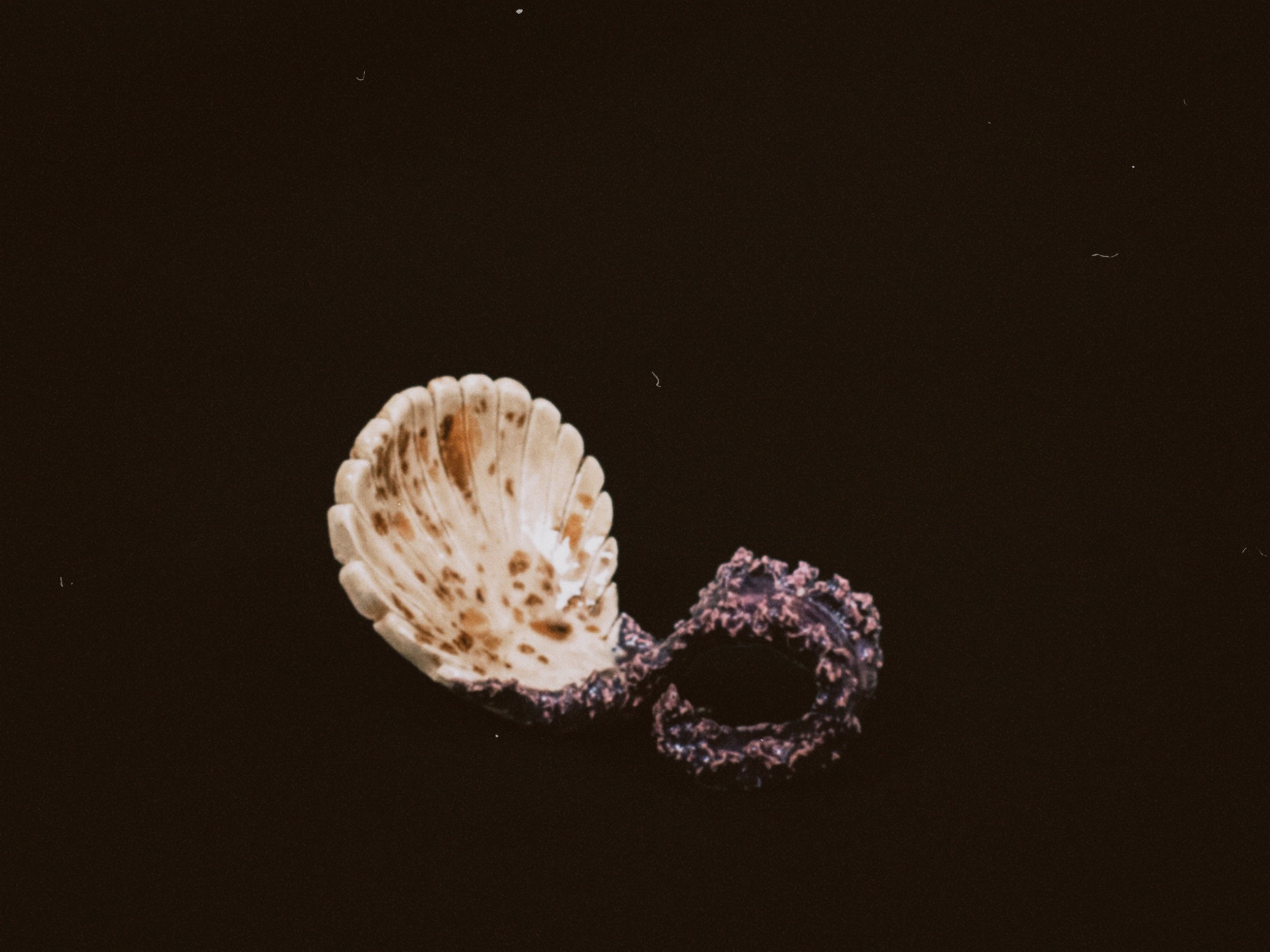 instc 2025-04-24 144432.898.jpeg