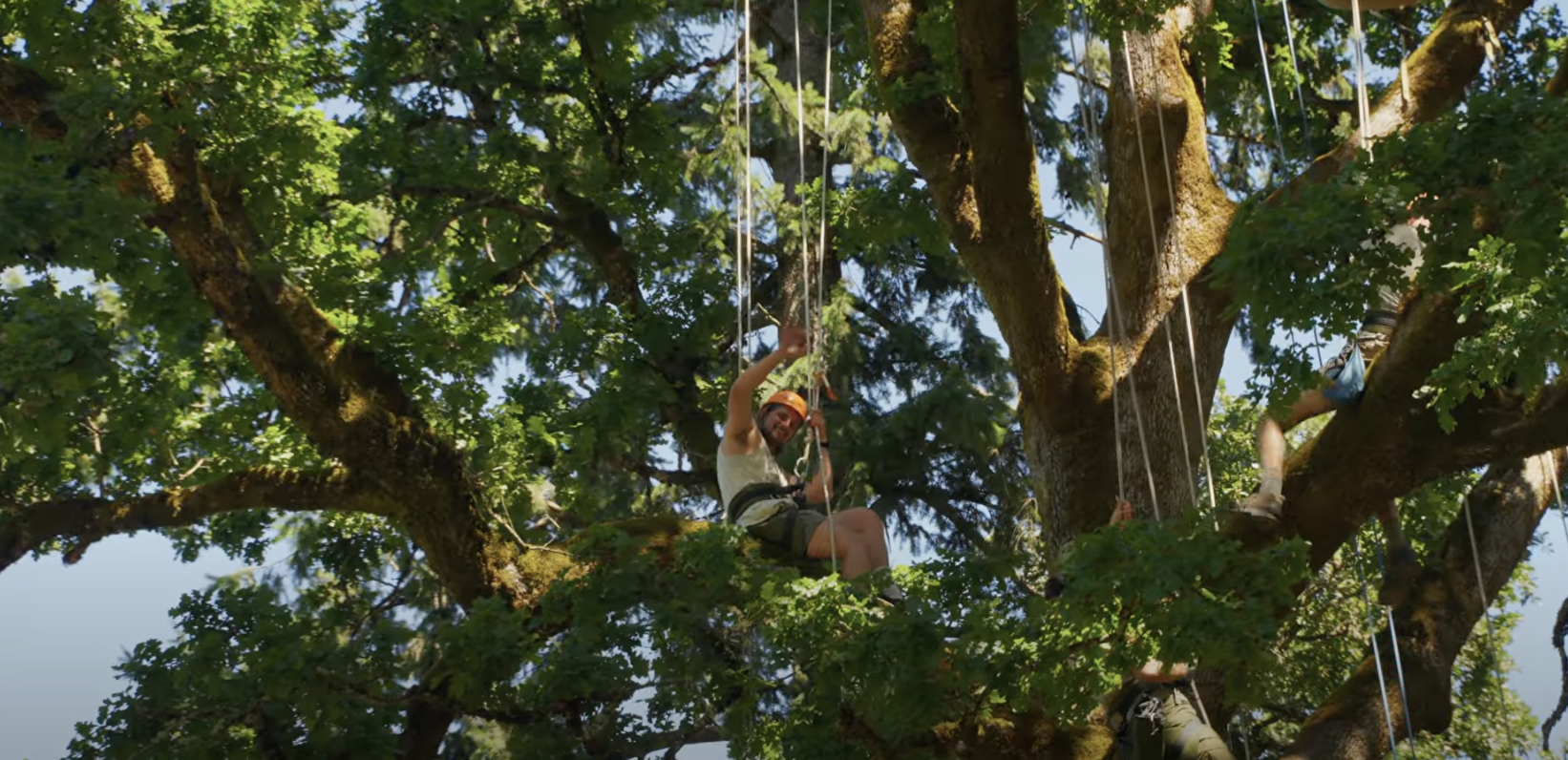 Screenshot 2025-09-13 at 3.40.36 PM.png