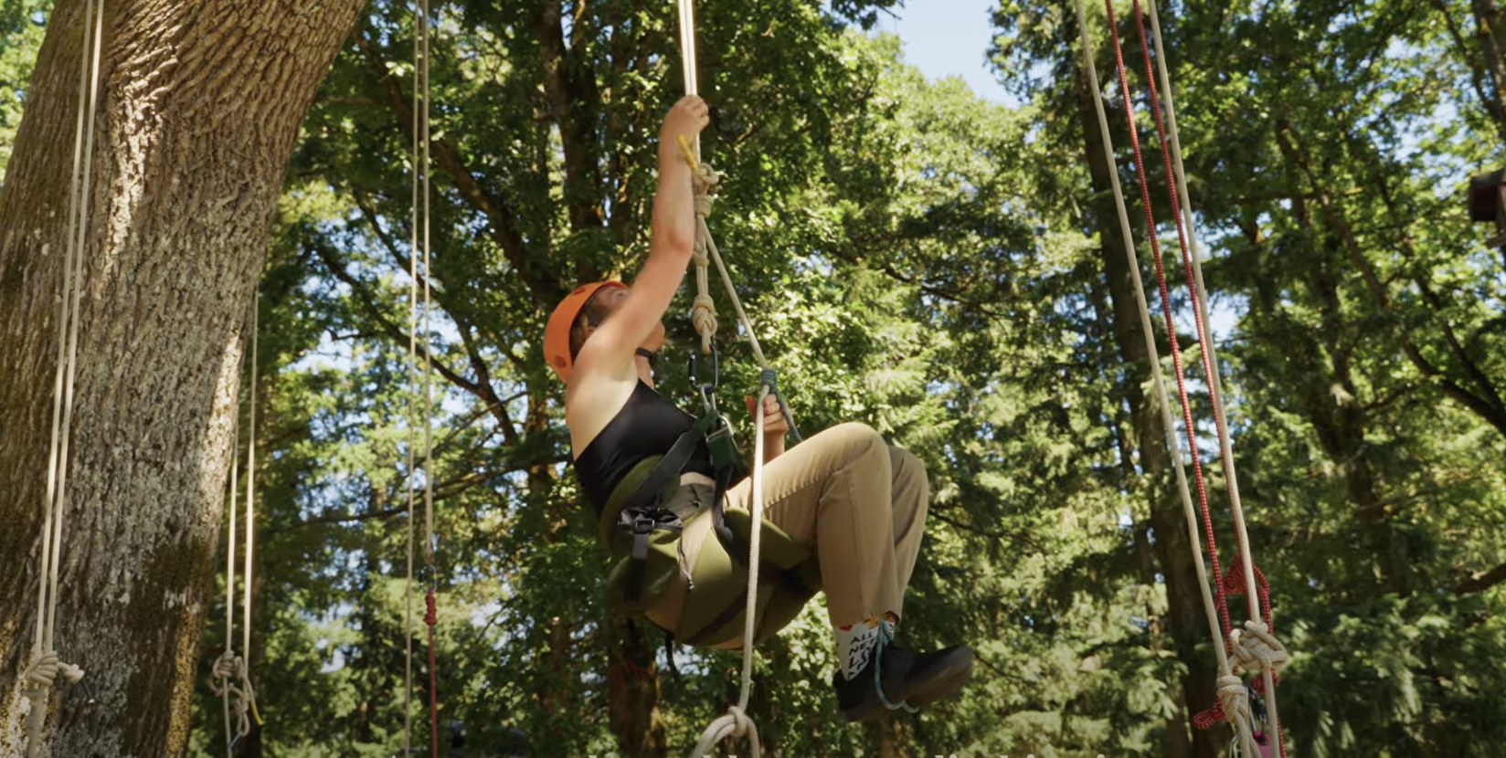 Tree Canopy Company - Founders Story