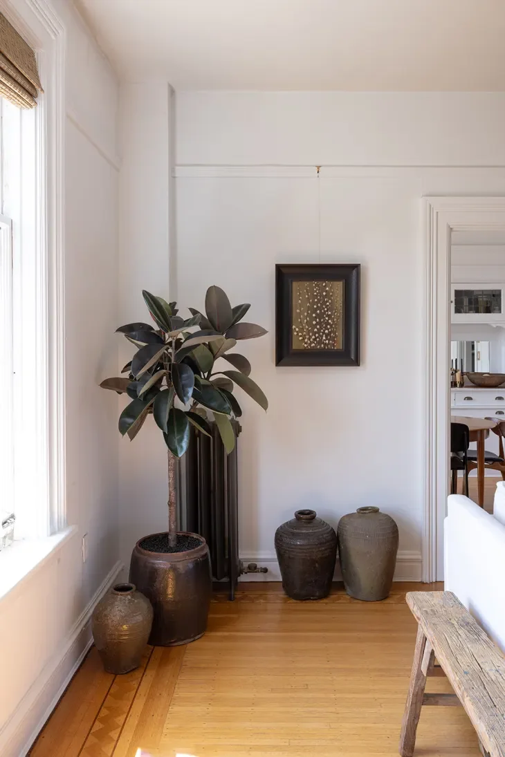 Interior view of a living room corner with a large potted rubber plant next to a window, four decorative vases on the floor, a framed artwork on the wall, a wooden bench, and a glimpse into a dining area with a table and chairs.