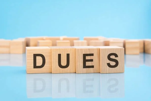 word-dues-made-with-wood-building-blocks-blue-background-business-concept-3841801724.jpg (Copy) (Copy) (Copy)
