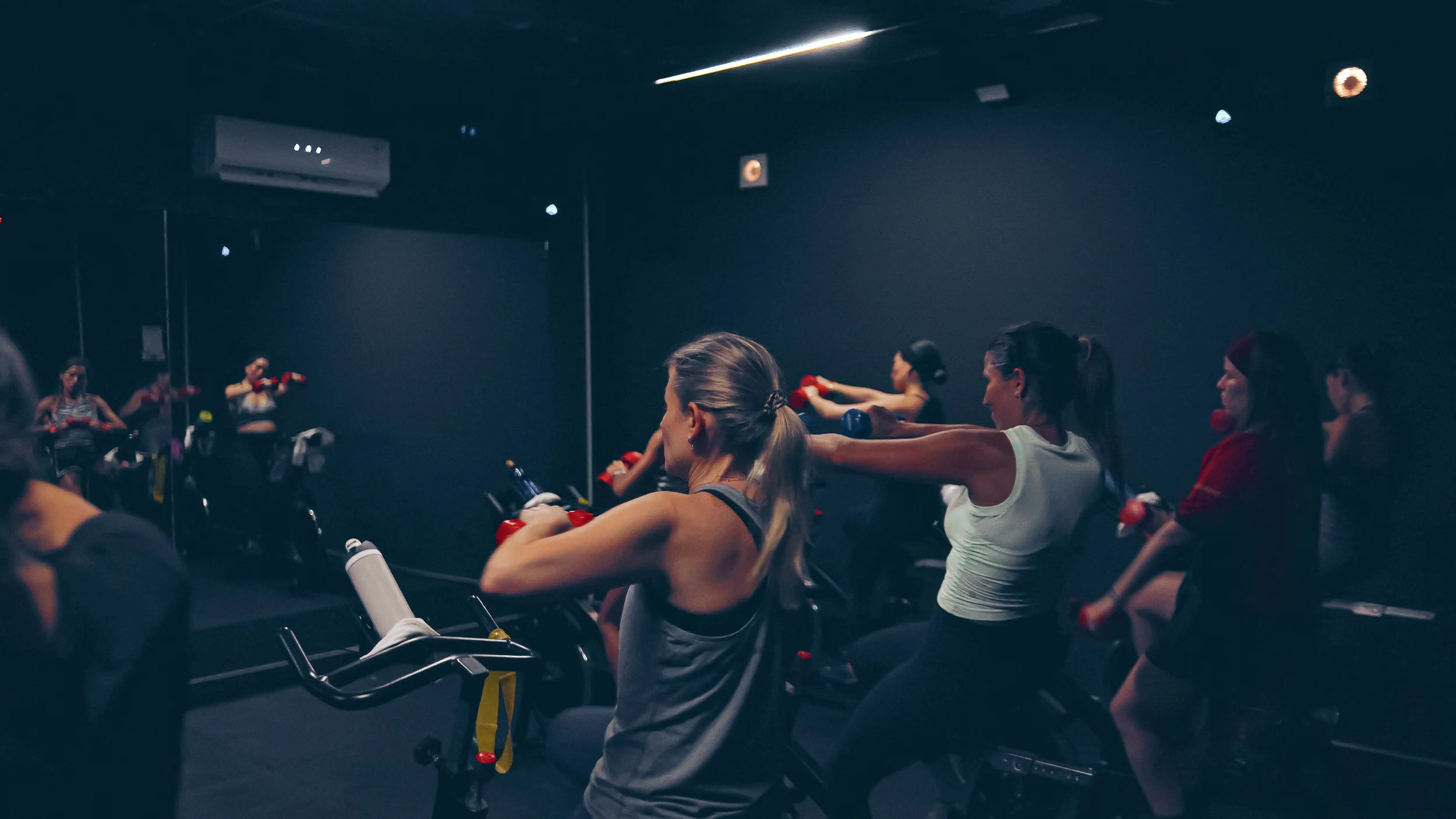 GUIA ESENCIAL DE ZONAS DE FRECUENCIA CARDIACA PARA TU ENTRENAMIENTO EN AMINA.