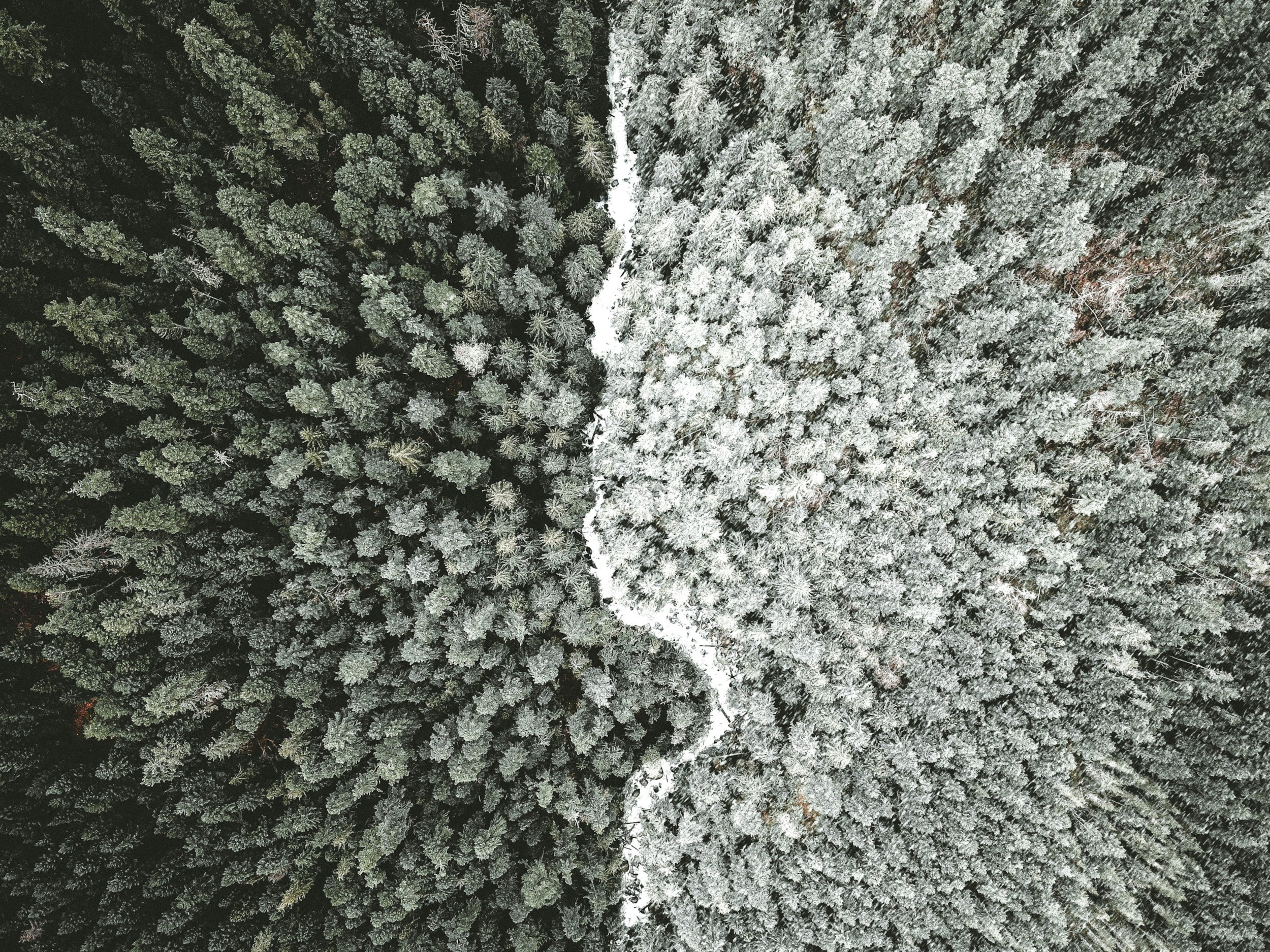 NO.3/ DIVIDING