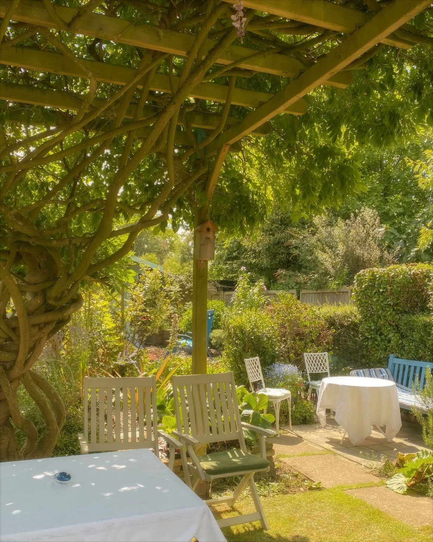 A beautiful garden party to celebrate the ruby wedding anniversary of two very lovely people - much cake was consumed and a good time had by all ❤️

P.S sofas outside are my new favourite thing