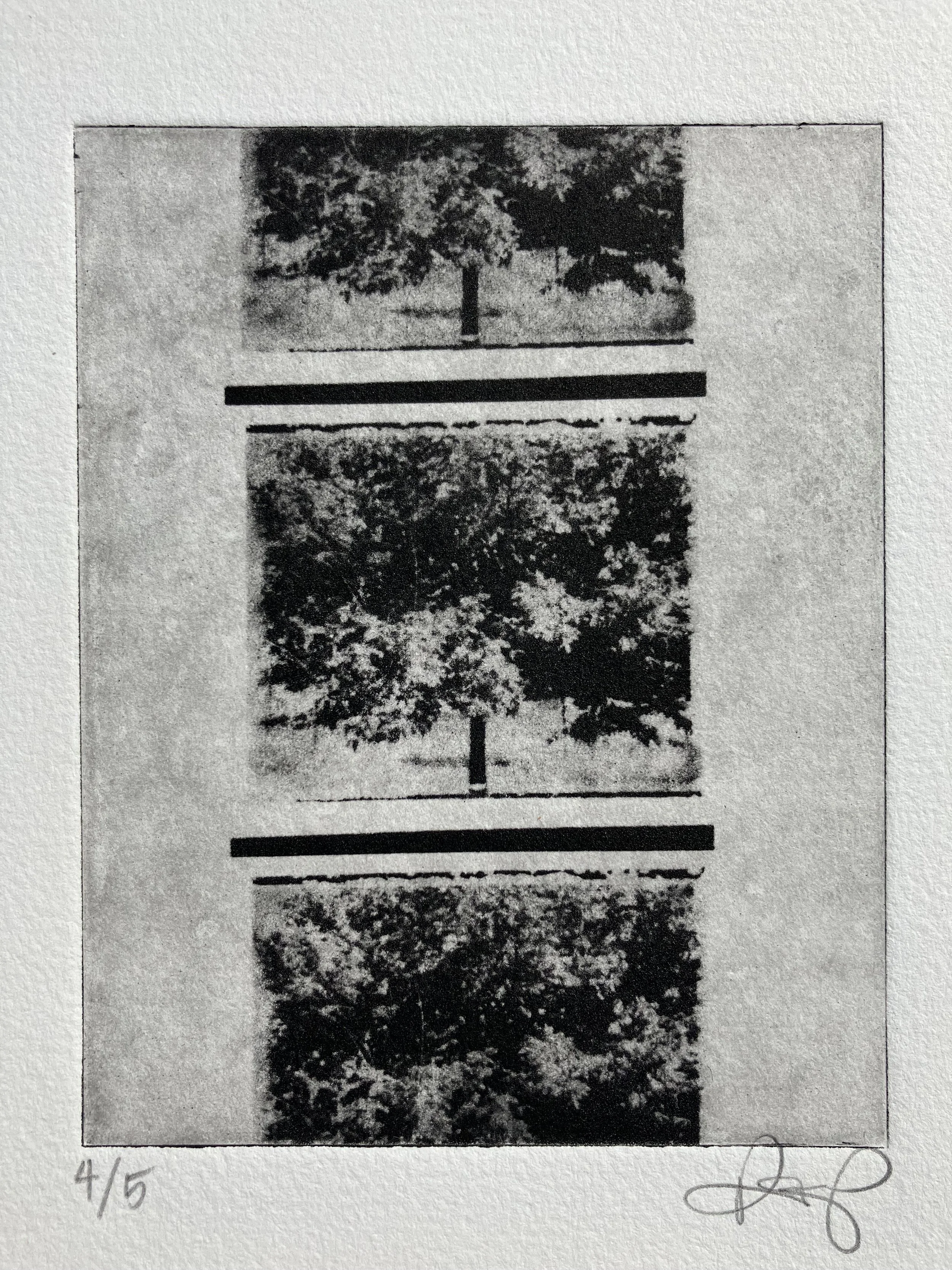 Trees Print.jpeg