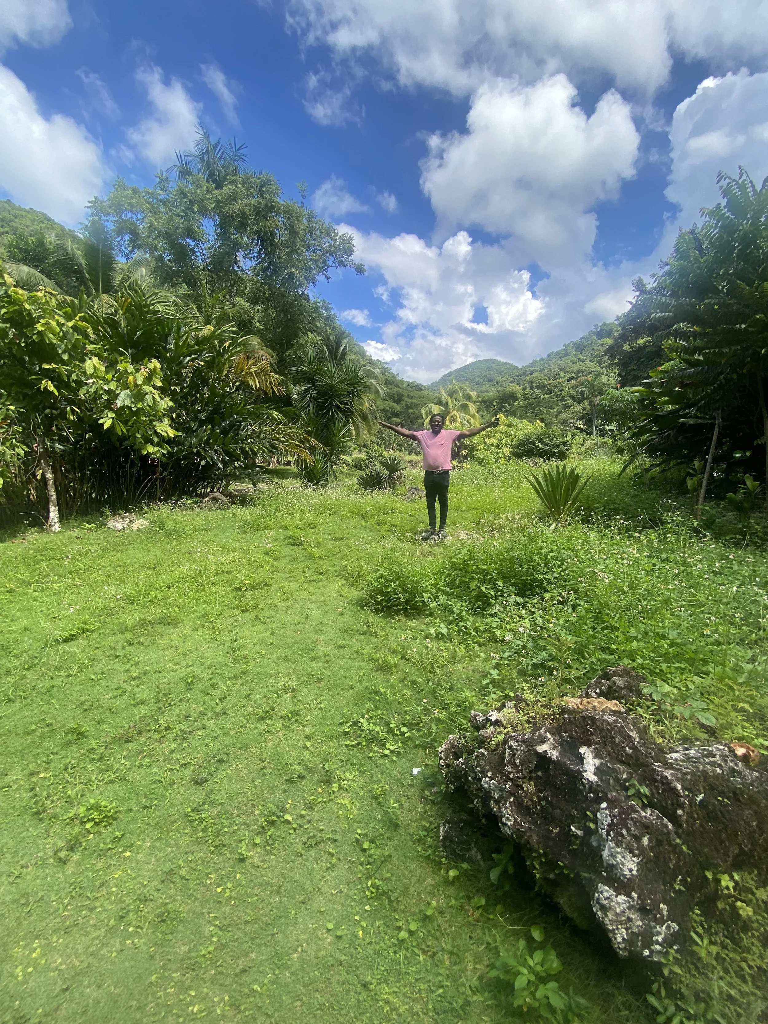 Planning Your Dream Jamaica Vacation