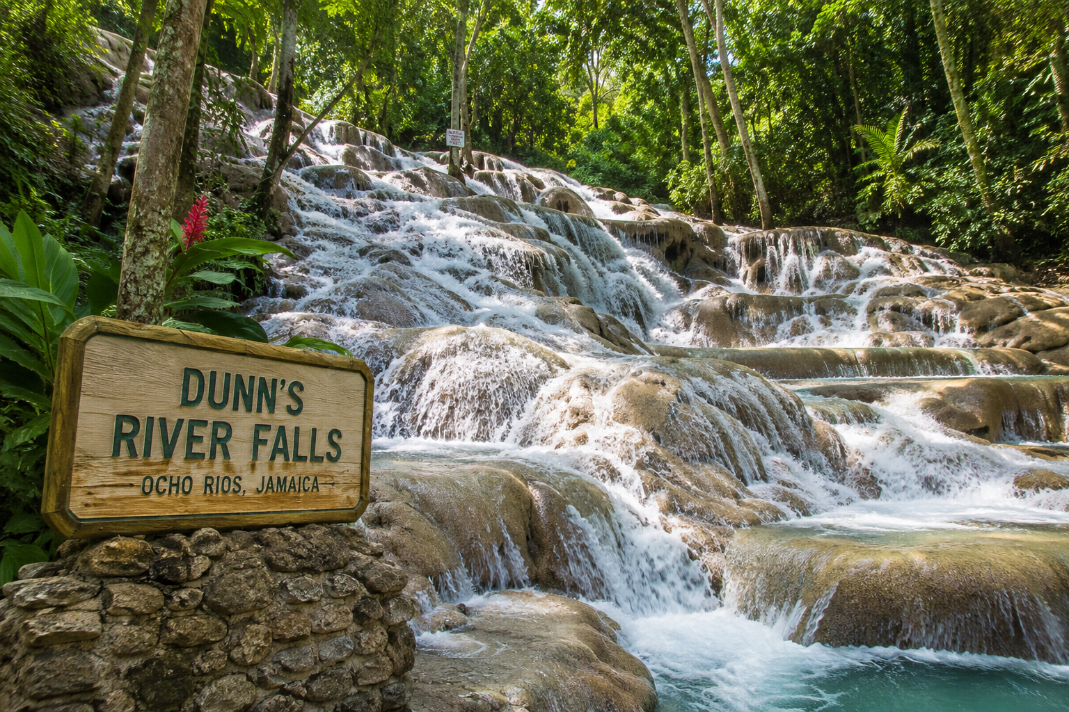 Dunn's River Falls