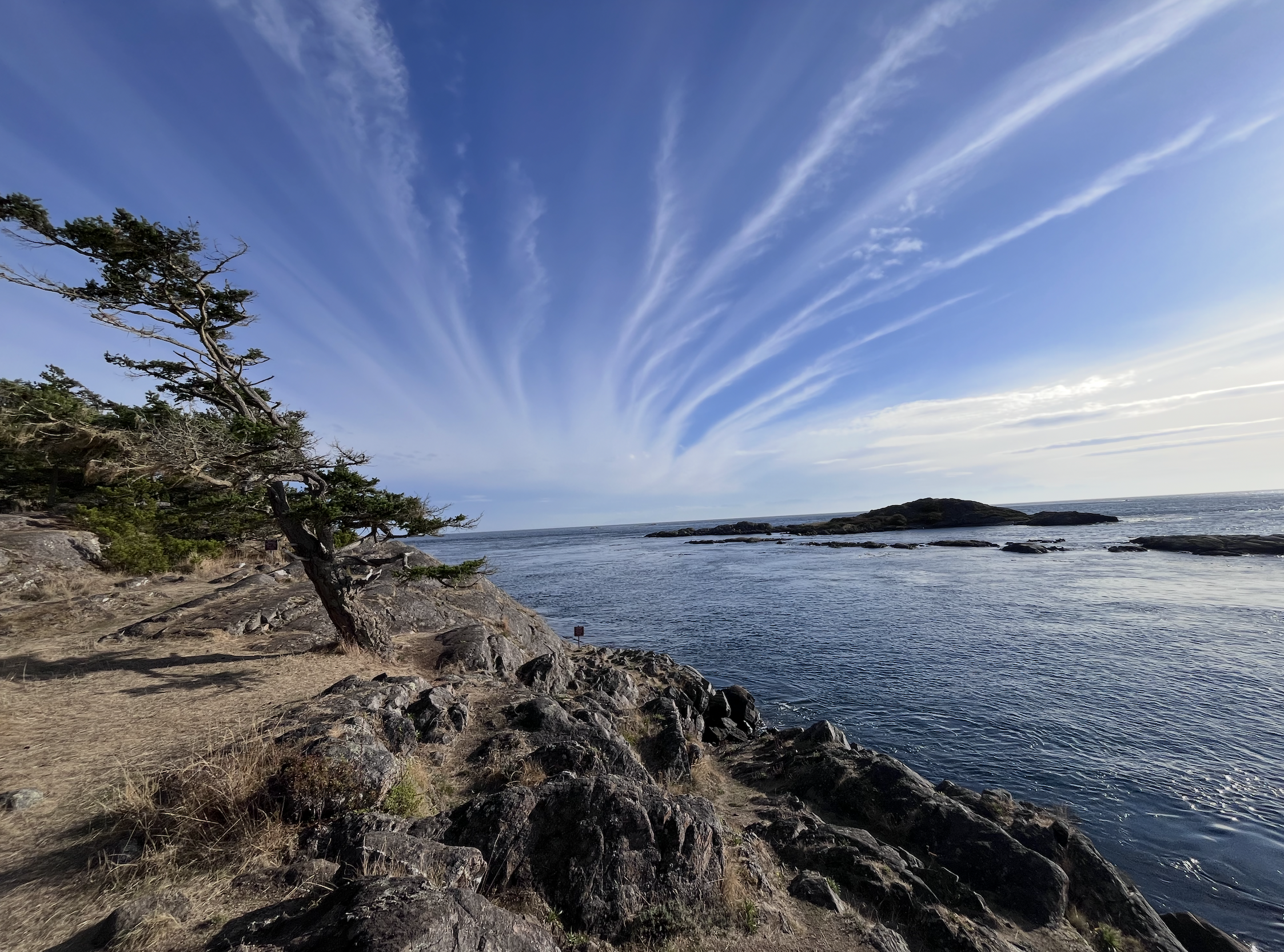 What are parties for?