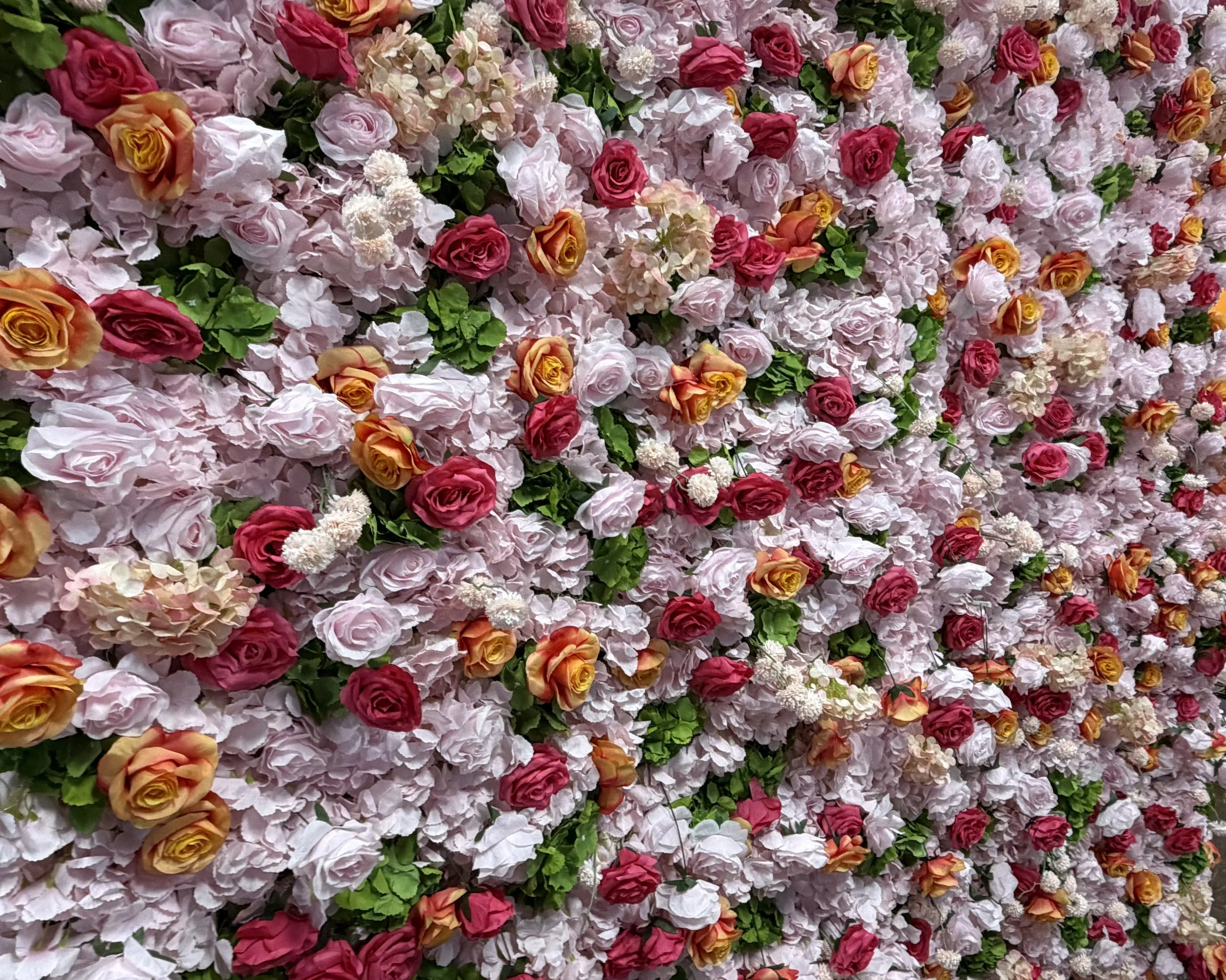 A wall covered with densely packed pink, red, orange, and white roses, with green leaves interspersed.