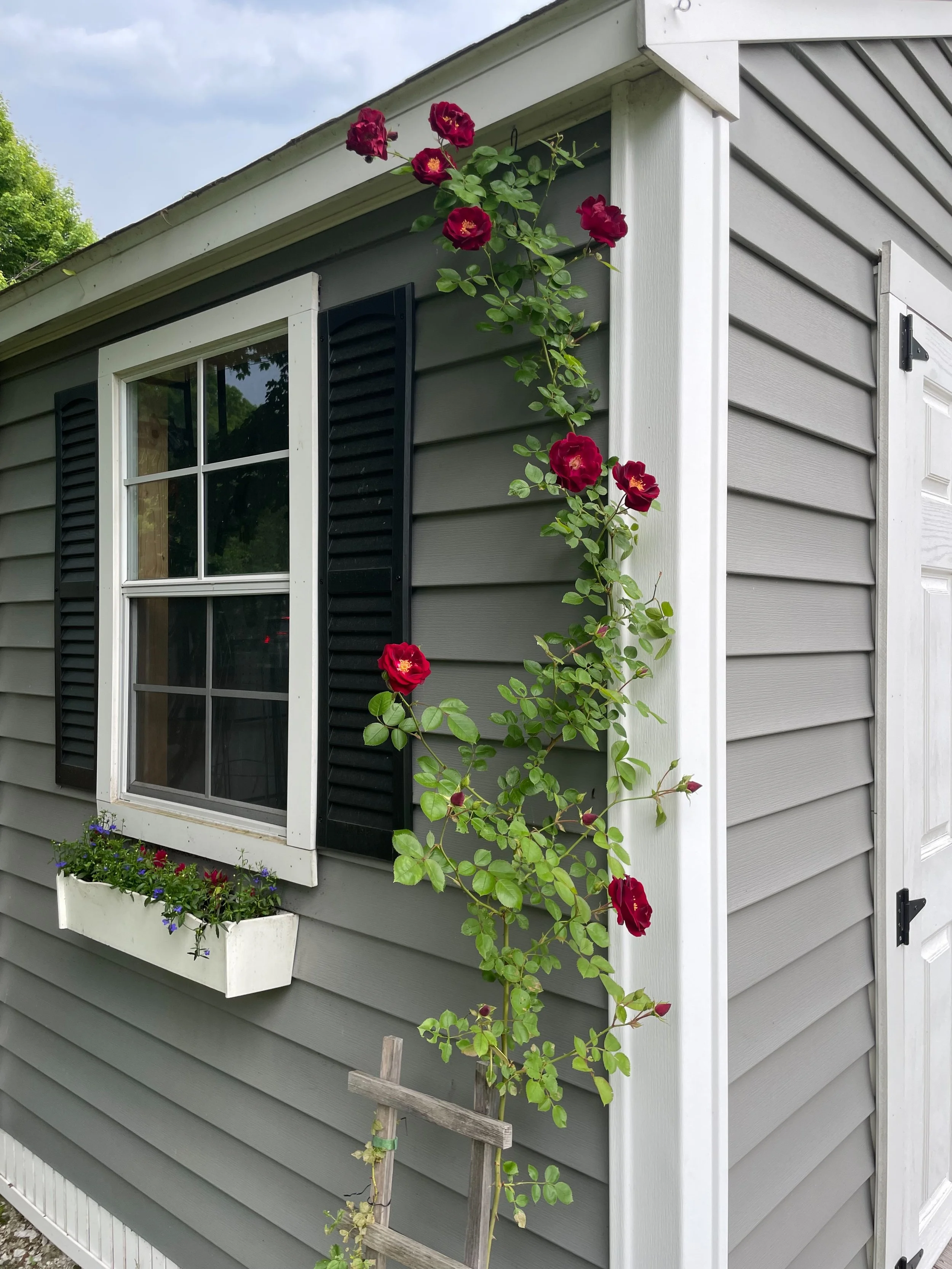 Studio exterior in Summer