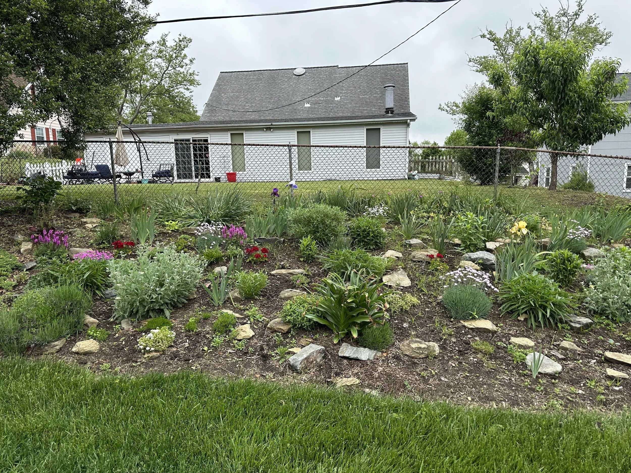 Perennial sun garden