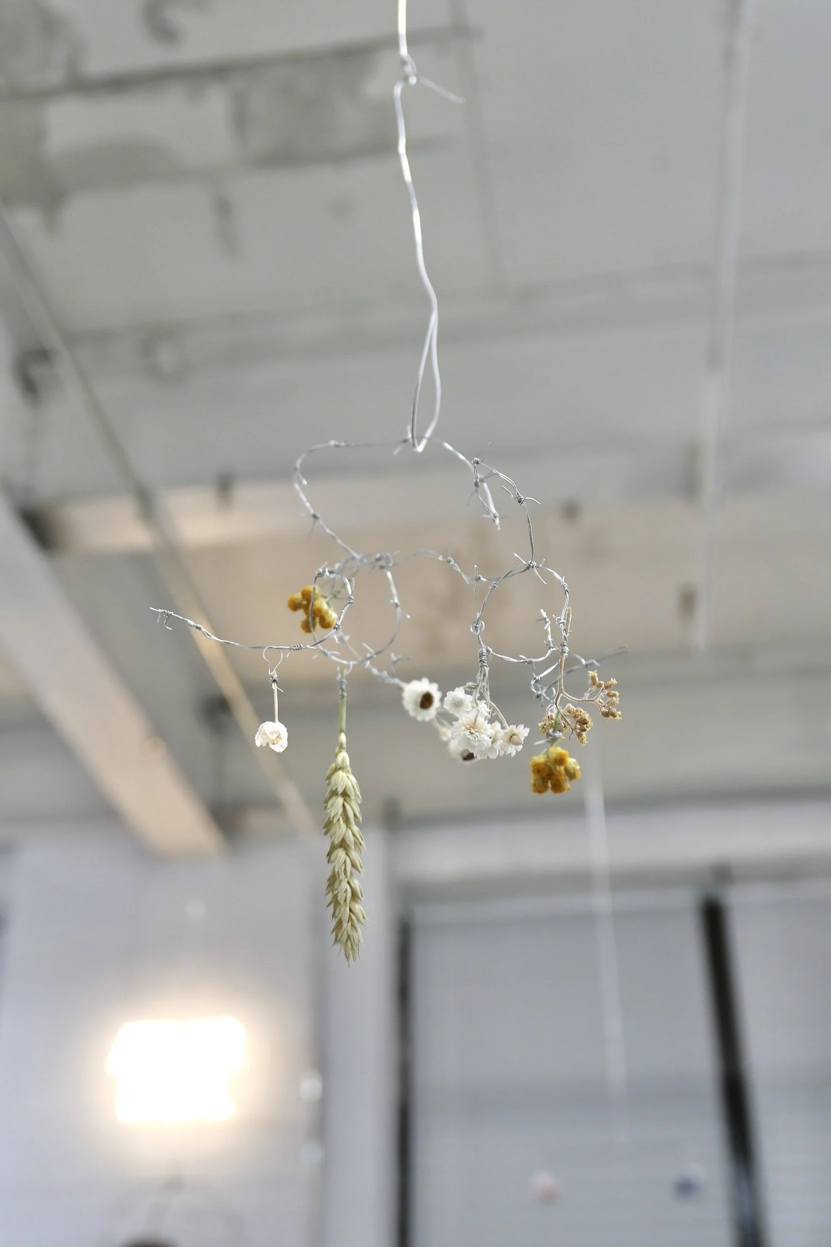 Sun, Feb 1 — Making Art that Moves: make your own mobile