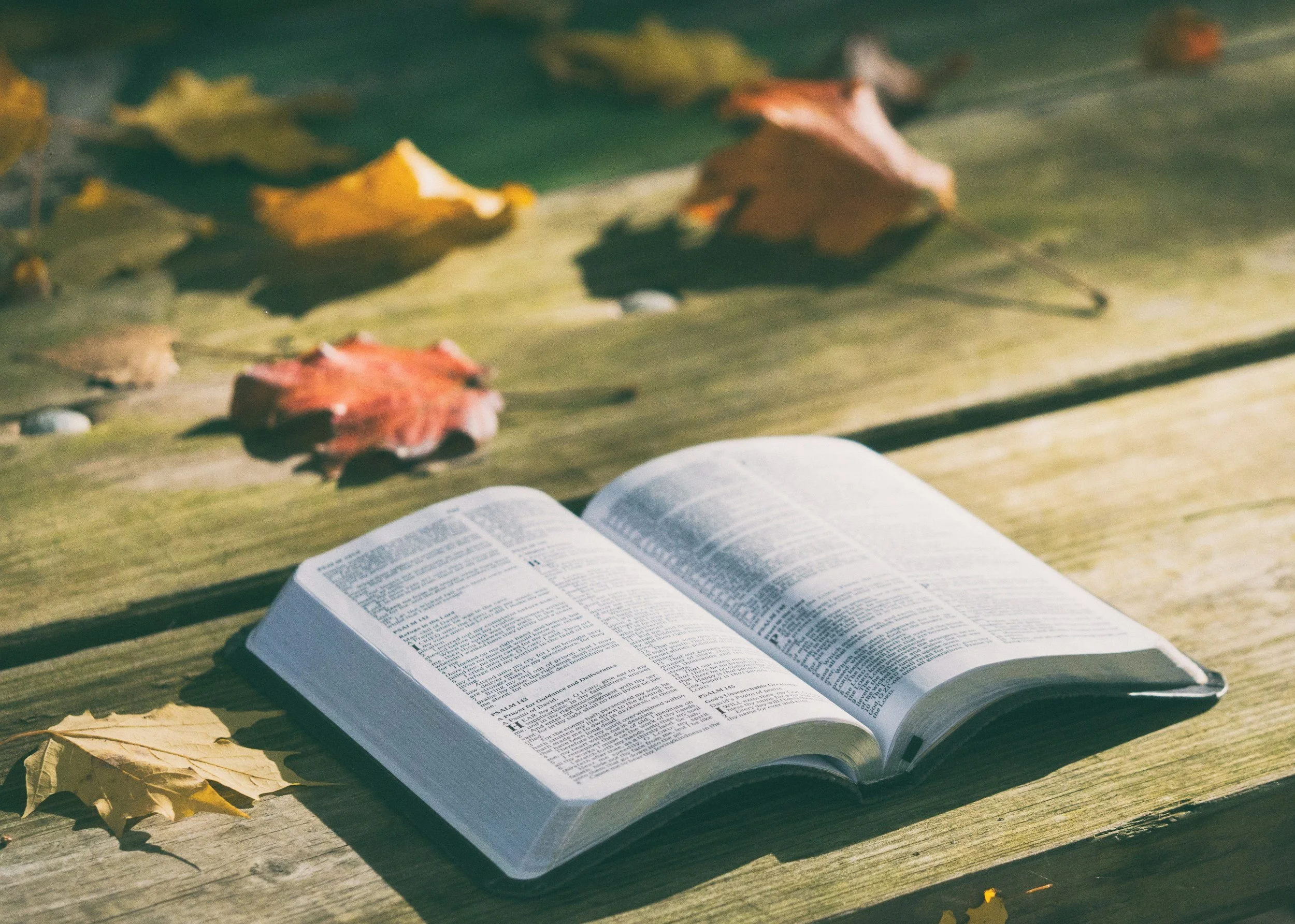 Teaching Toddlers to Memorize Scripture