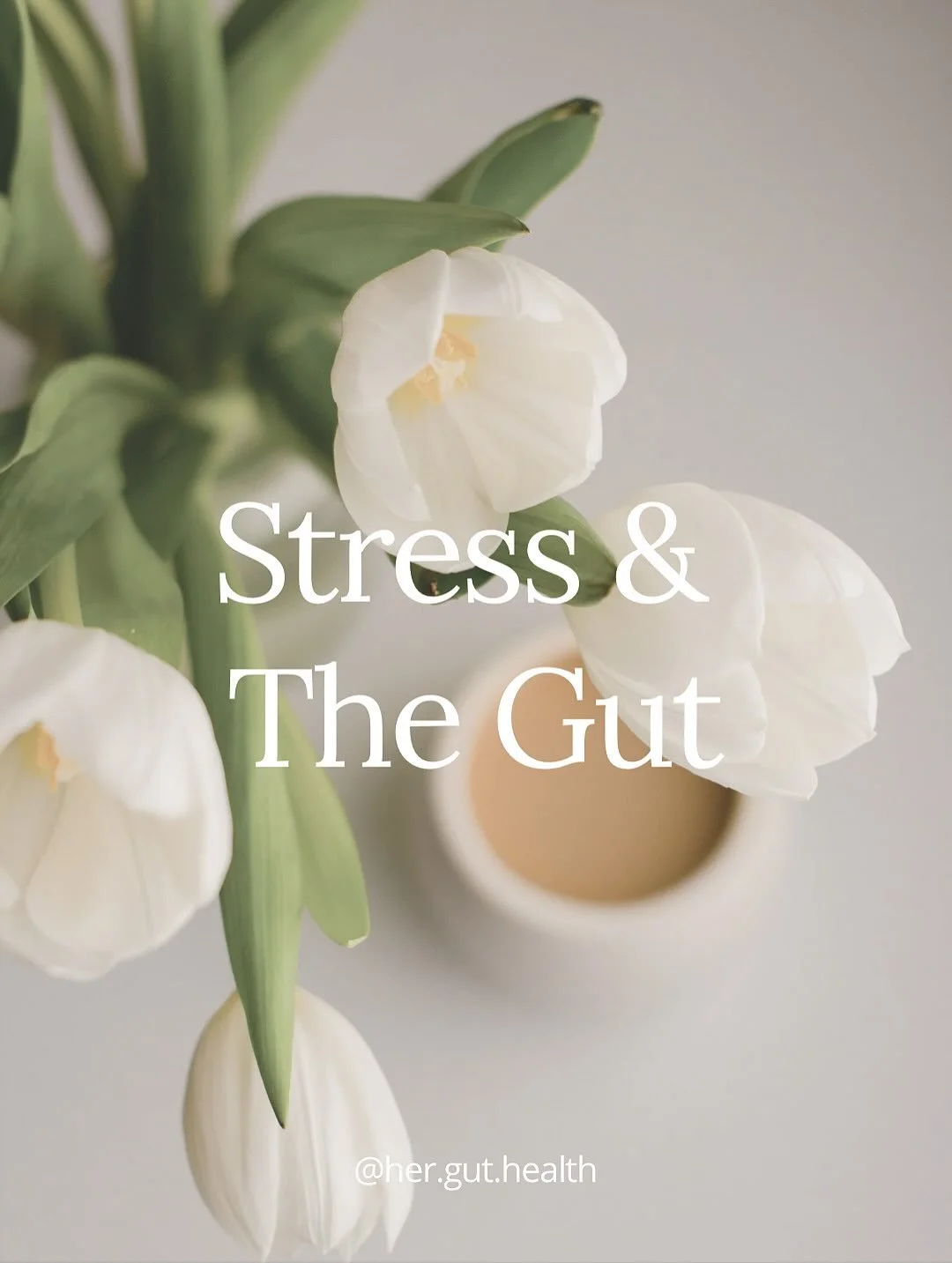 Stress doesn&rsquo;t just live in your mind, it impacts your gut too. 🤍

.
.
.

#herguthealth #guthealthmatters #womenshealth #guthealingjourney #ibs #sibo #bloatrelief #holistichealing