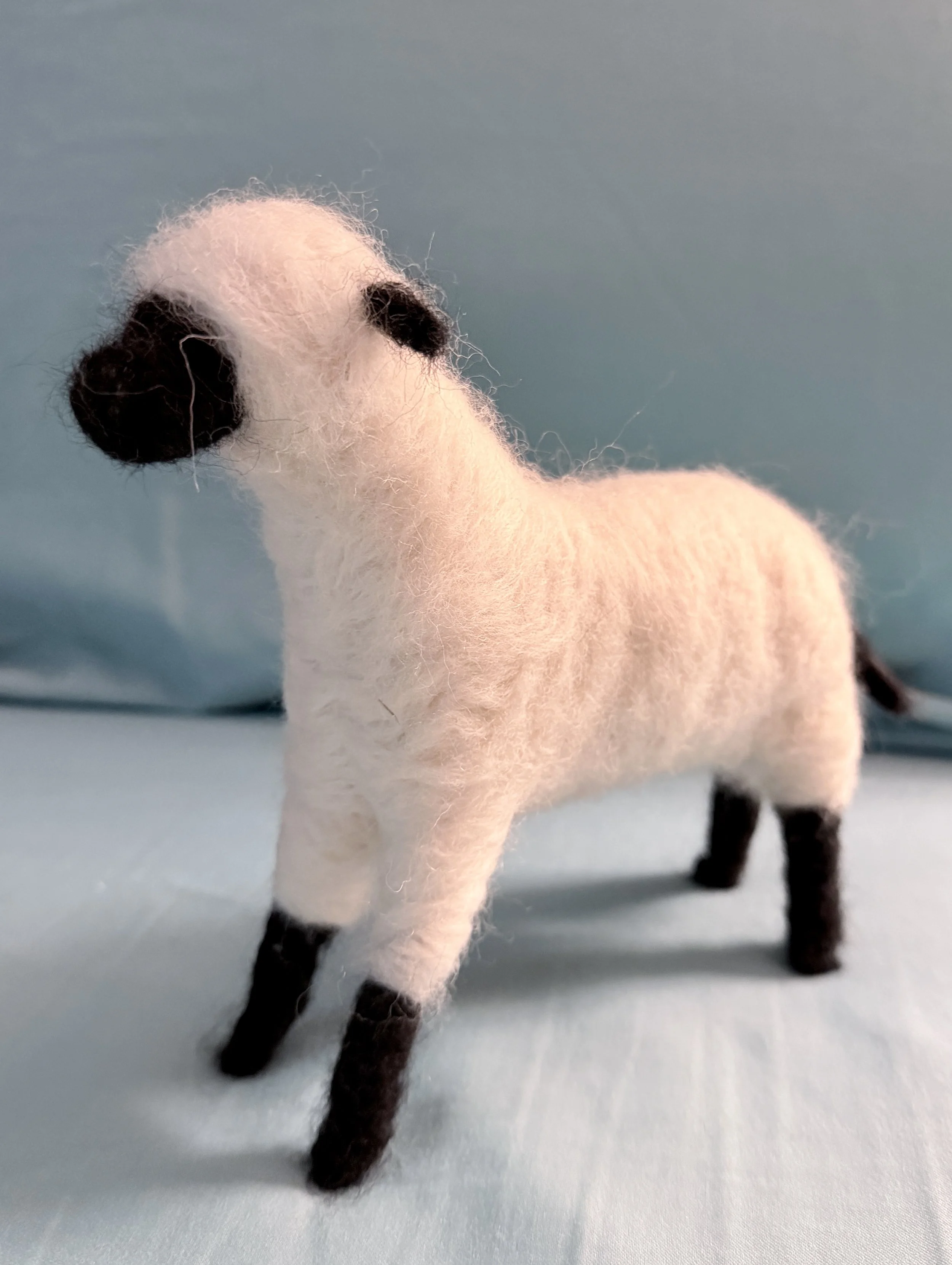 Creating Felted Lamb with Shelley Smith