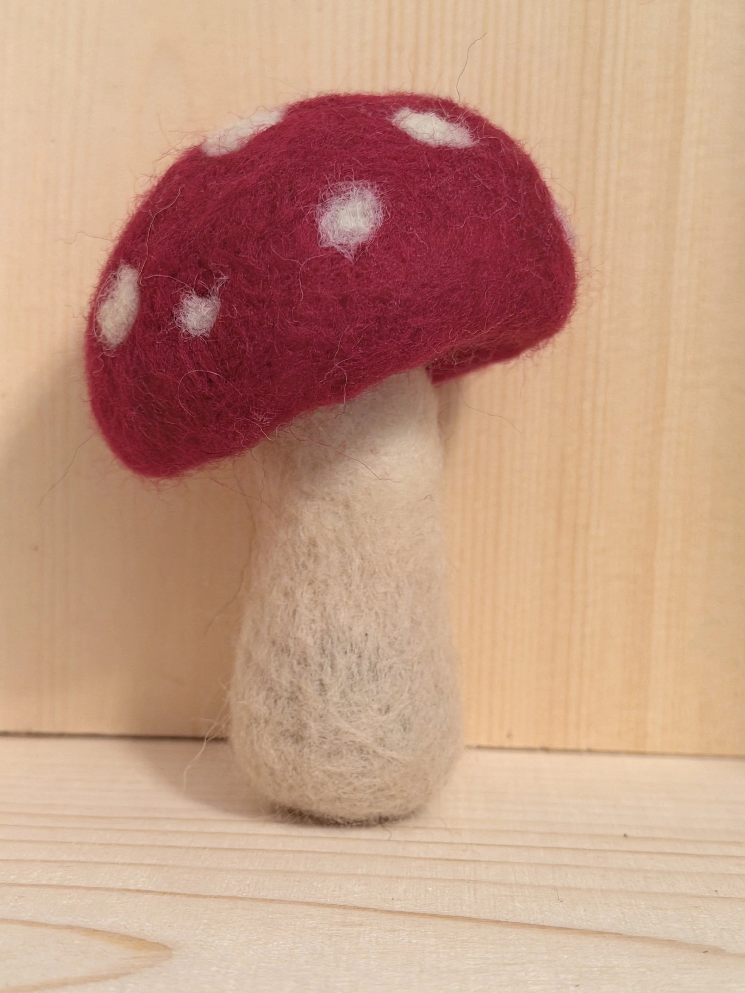 Creating Felted Mushrooms with Shelley Smith
