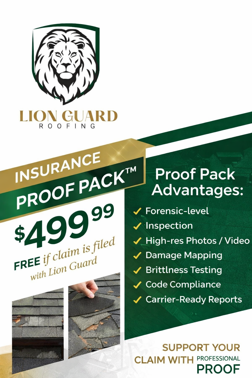 Lion Guard Insurance Proof Pack®