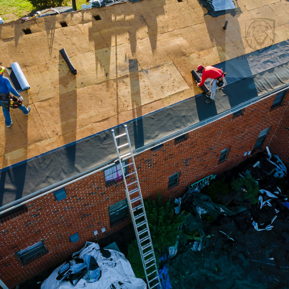 lion guard performing roof replacement