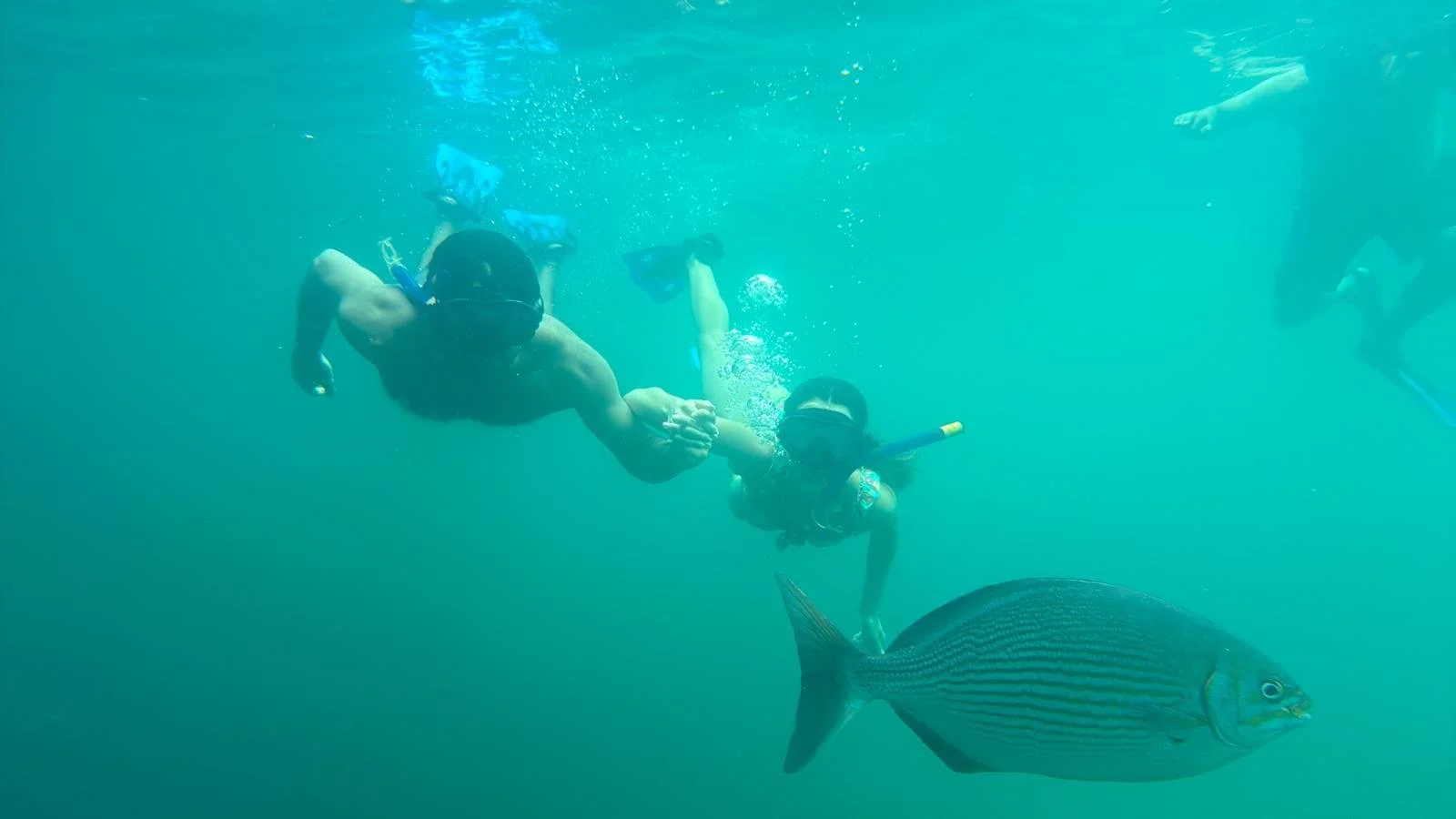 WhatsApp Image 2025-10-27 at 7.41.16 PM.jpeg