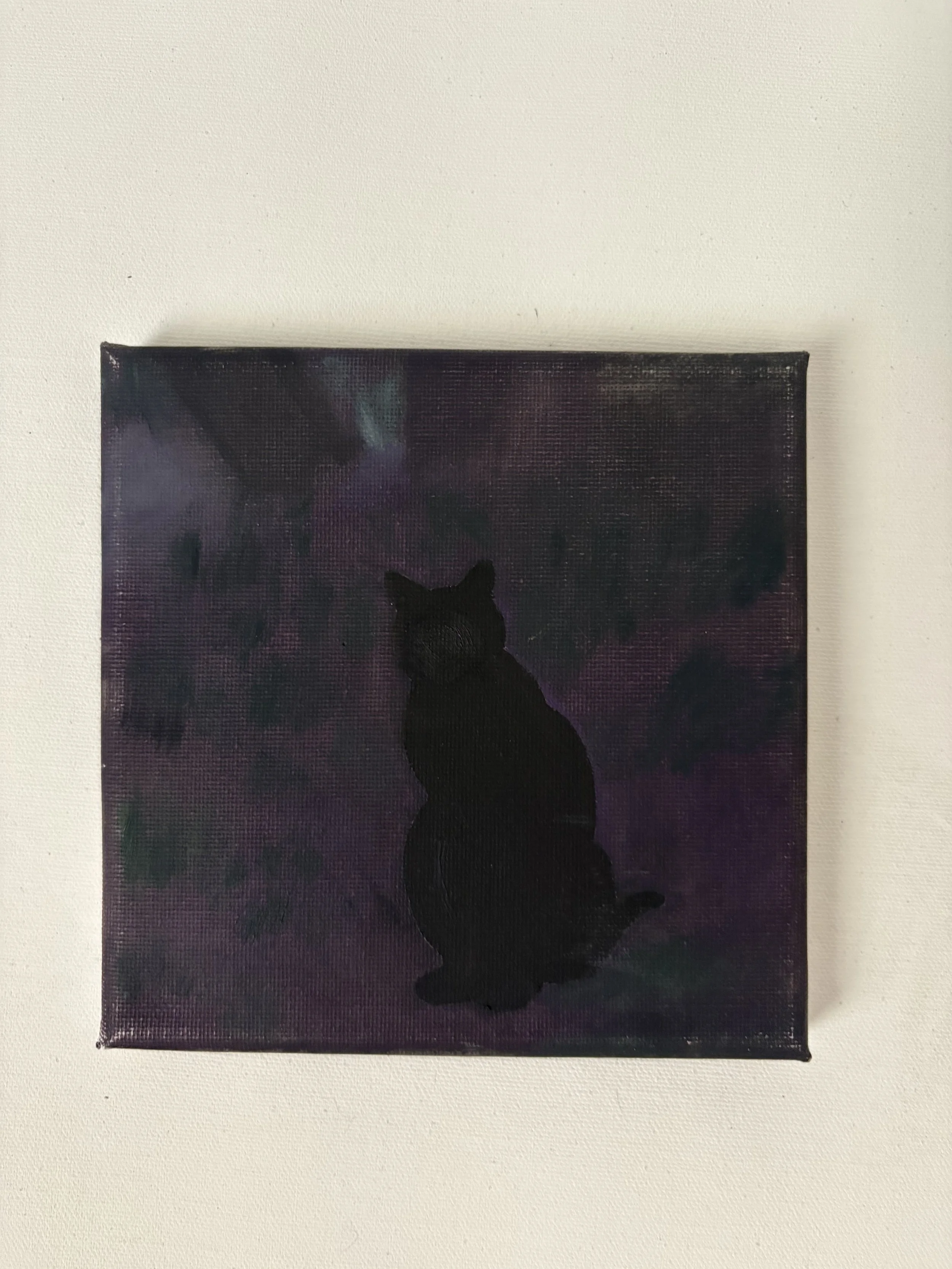 Midnight Cat