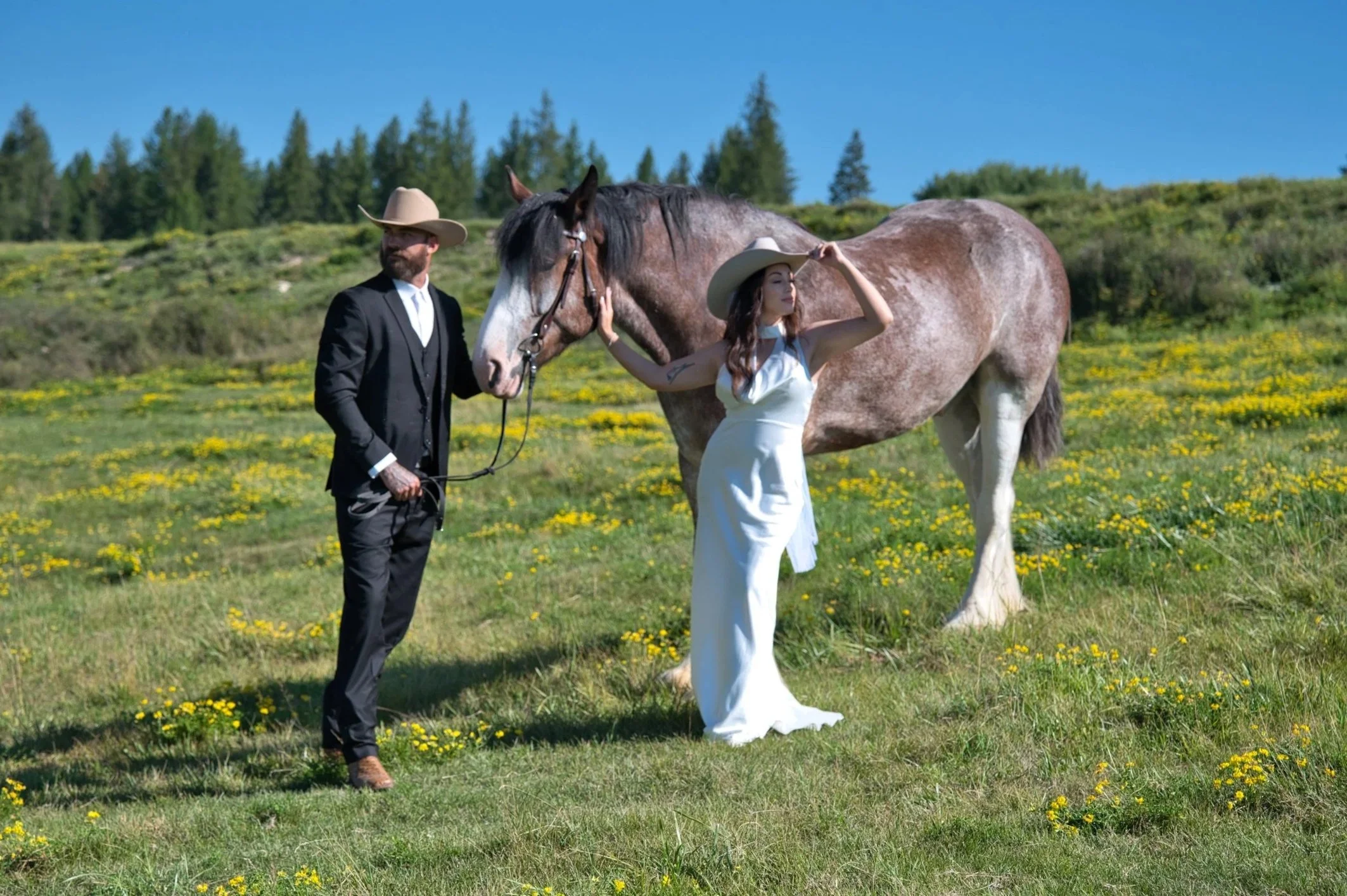 A man and a woman standing with a horse in a field with yellow wildflowers and green trees under a blue sky. The man is wearing a black suit and a cowboy hat, and the woman is dressed in a white gown and a cowboy hat.