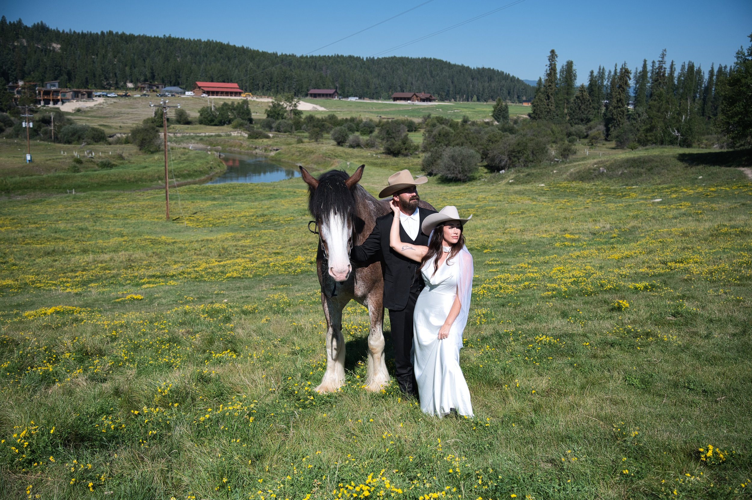 A couple dressed in wedding attire standing outdoors with a horse on a grassy field with yellow flowers, a small river, and green hills in the background.