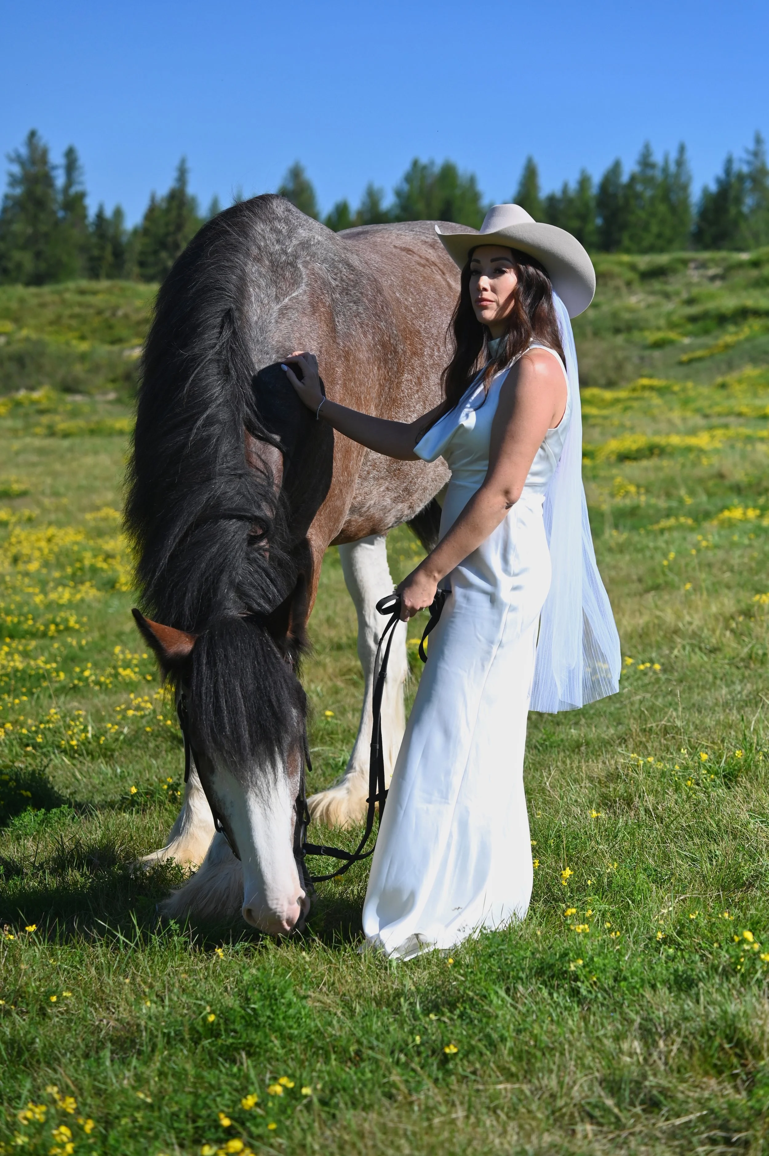 A woman in a white dress and wide-brimmed hat standing on a grassy field, petting a large black and white horse with a brown body, surrounded by green trees under a bright blue sky.