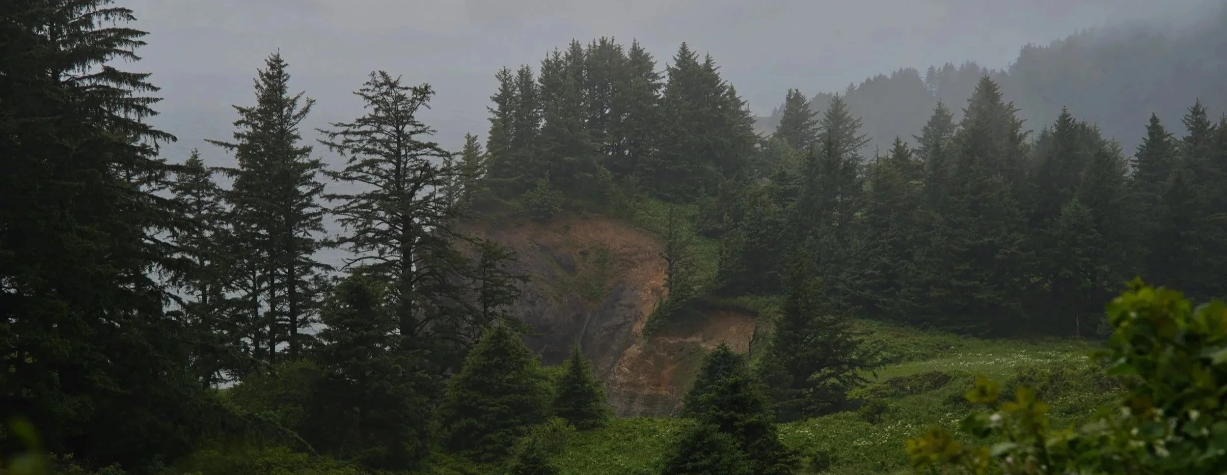 Twilight vibes Oregon Coast