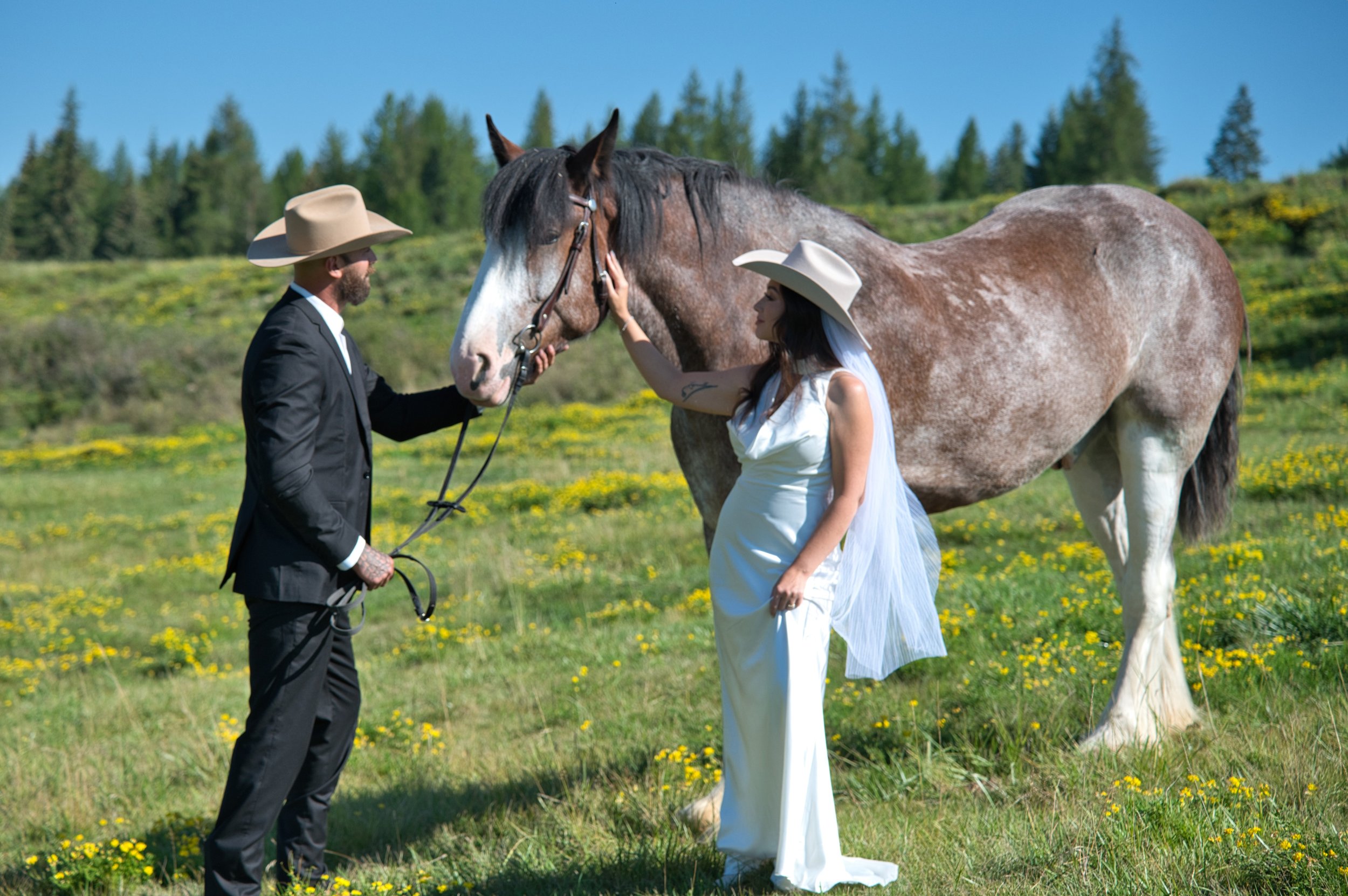 A man in a black suit and a woman in a white dress and cowboy hat gently touching a large brown and white horse in a green field with yellow flowers under a blue sky.