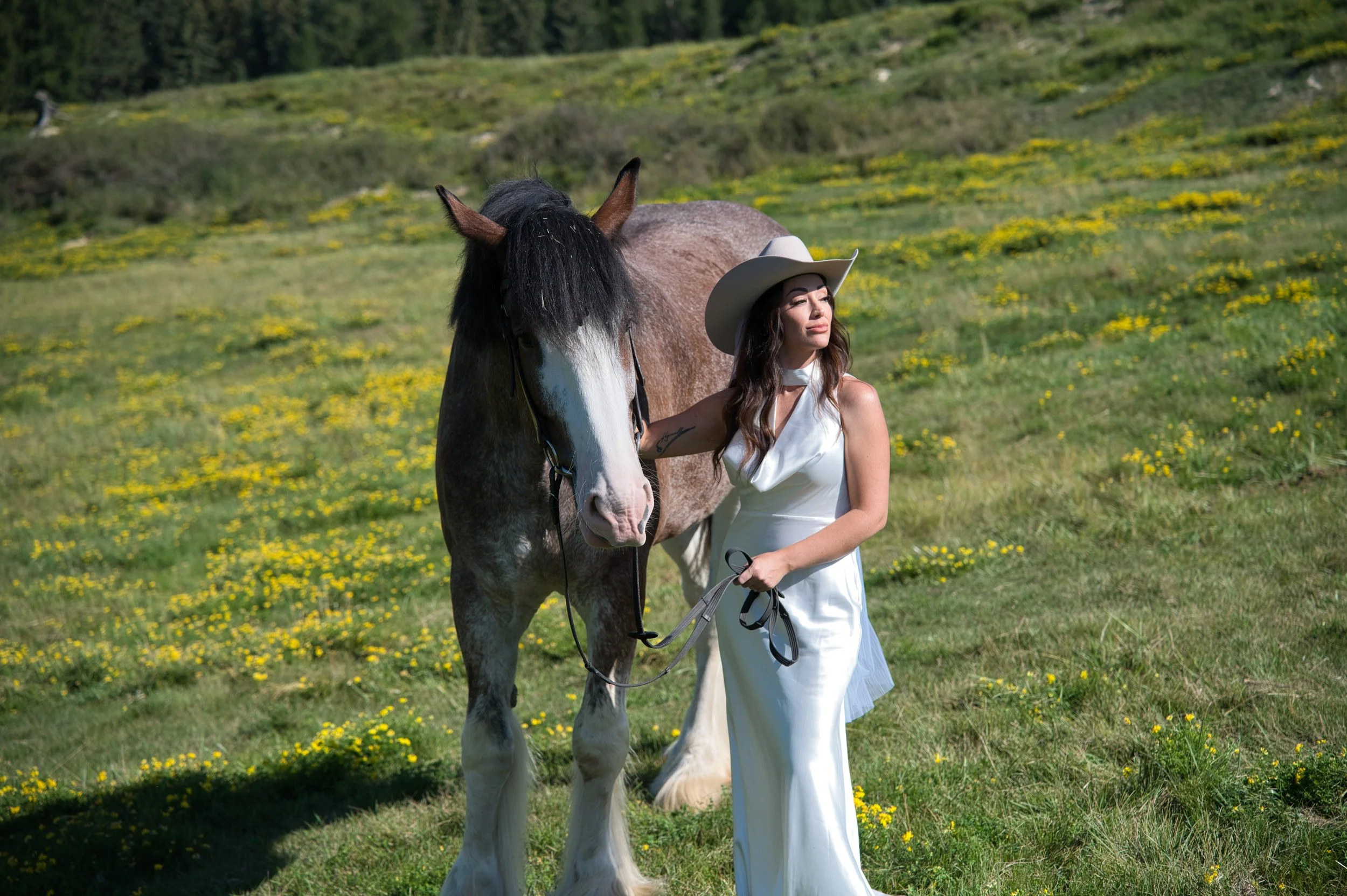 A woman in a white dress and cowboy hat standing next to a large brown and white horse in a green field with yellow flowers.