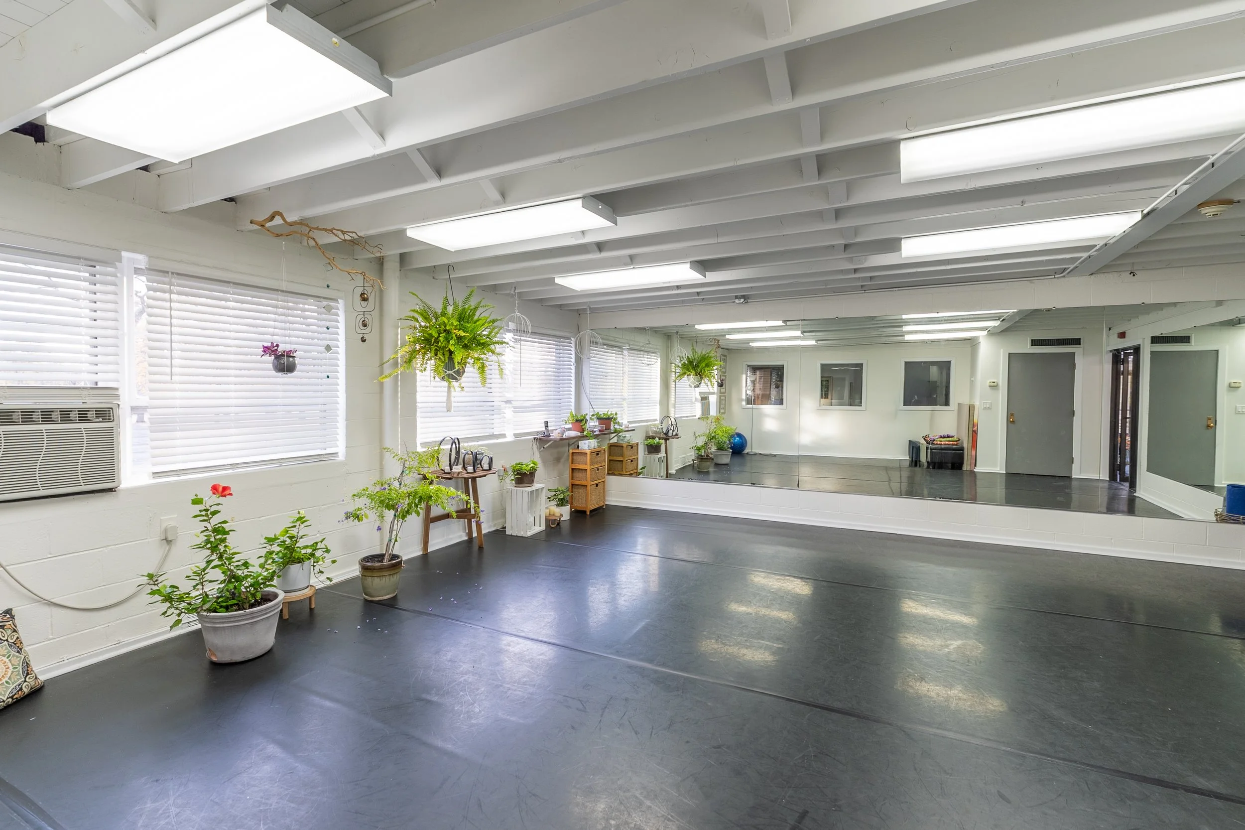 A yoga or meditation studio with large mirror walls, potted plants, yoga mats, and fitness equipment, bathed in natural light from multiple windows.