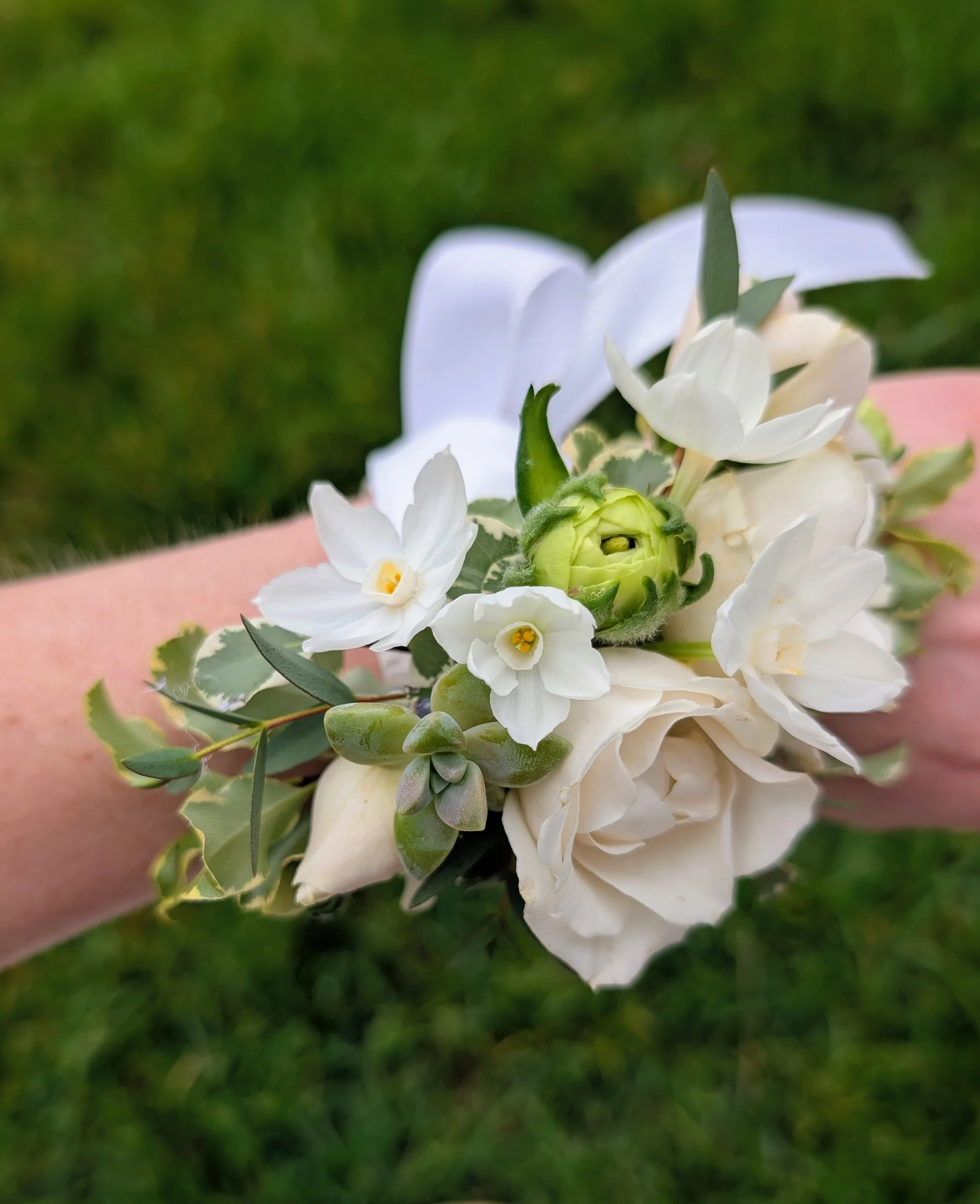 PXL_20260114_205817861~2 (3).jpg