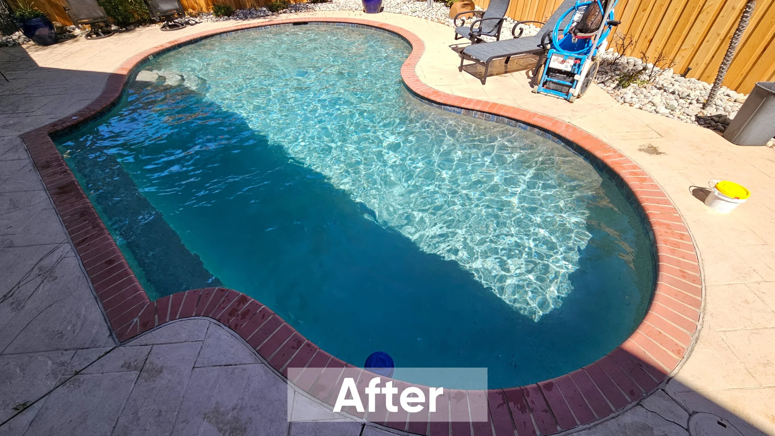 Clean swimming pool with clear water, surrounded by a concrete deck, pool chairs, and a wooden fence, showing an after cleaning or renovation.