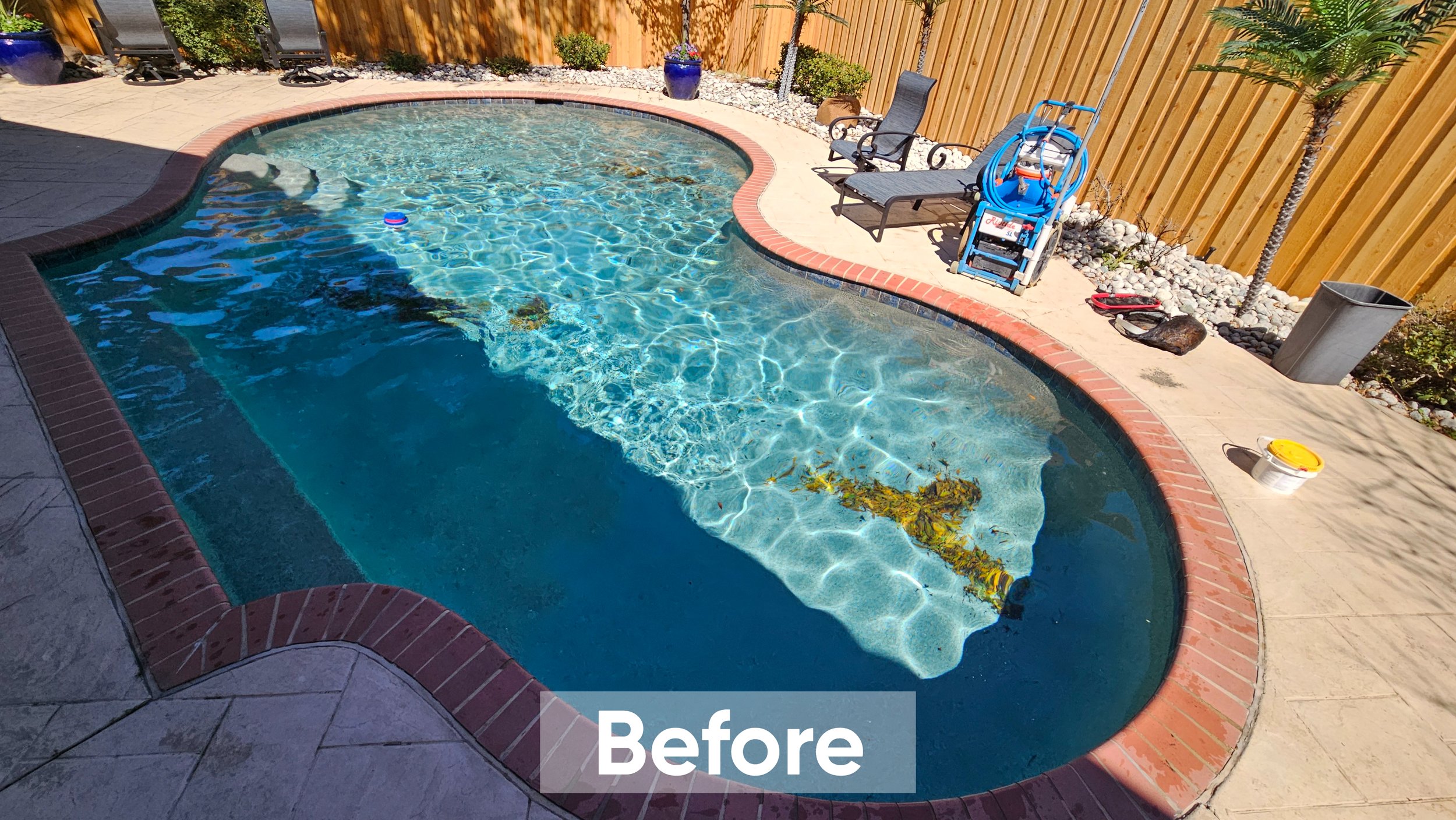 A backyard swimming pool with a curved shape, containing some seaweed and leaves at the bottom. The pool is surrounded by a concrete deck with a brick border. There are two lounge chairs and a blue pool float on the deck, with a wooden privacy fence 