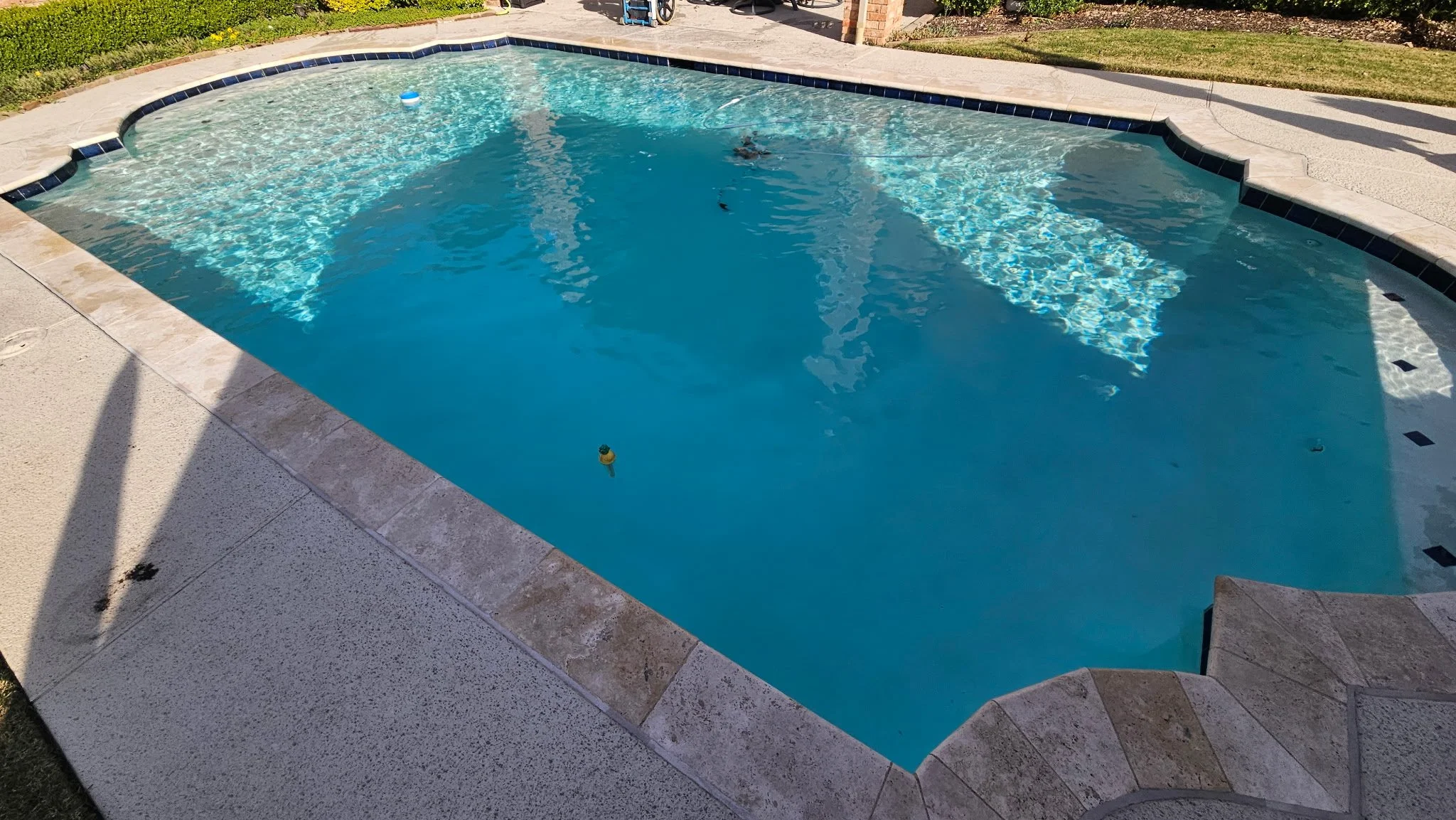 Residential swimming pool with clear blue water, surrounded by a beige concrete patio, in a backyard with grass and bushes in the background.