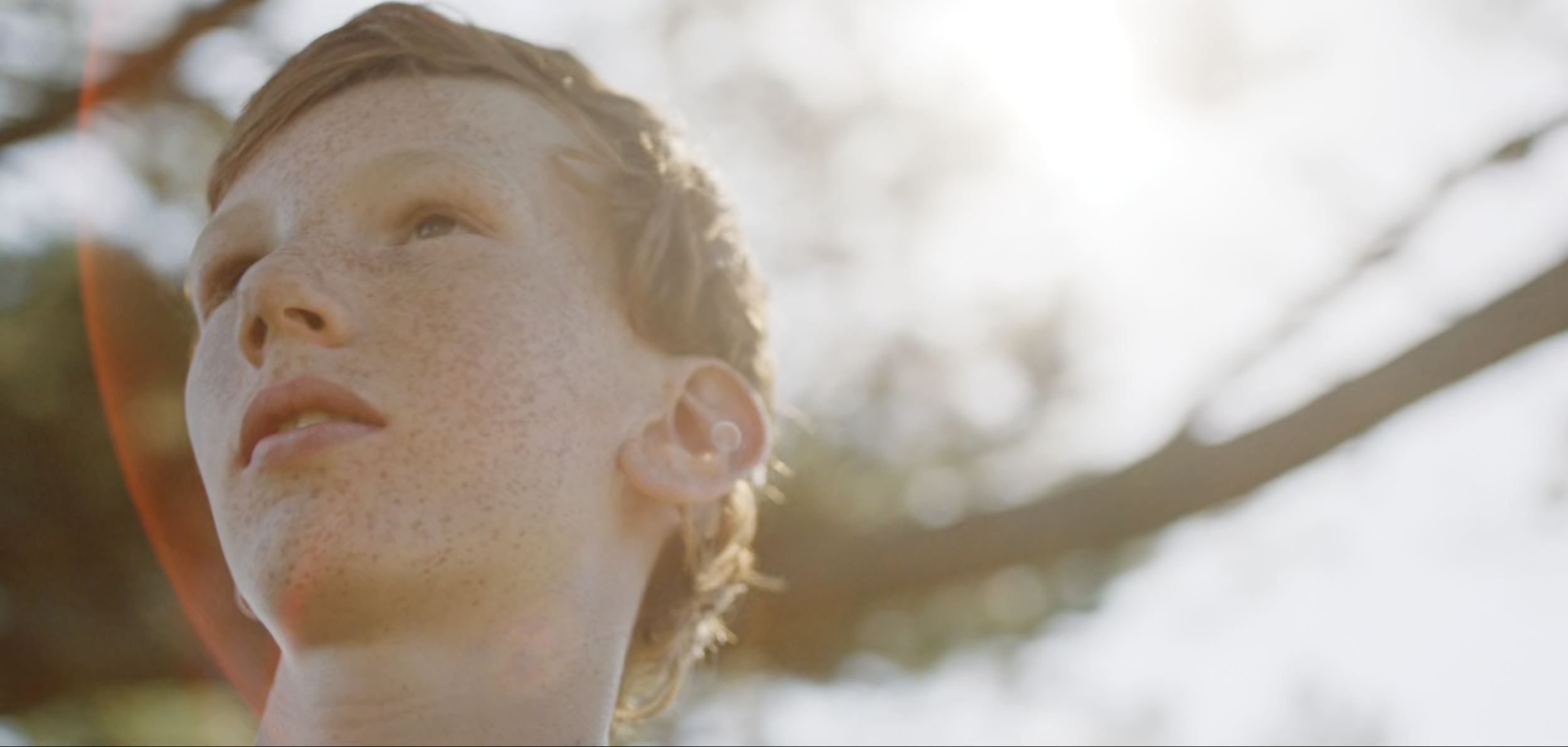 Screenshot 2025-09-08 at 1.51.14 PM.png