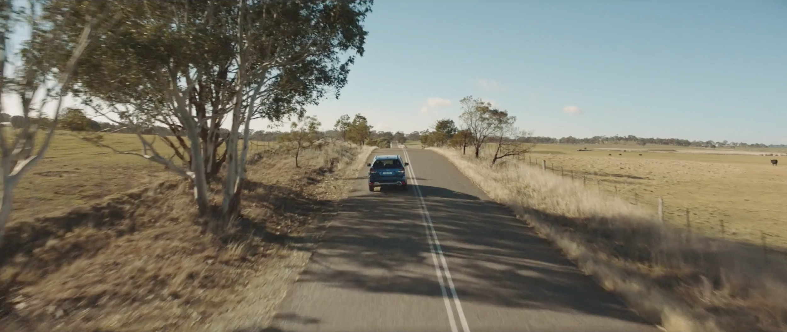 Screenshot 2025-09-08 at 10.55.41 AM.png