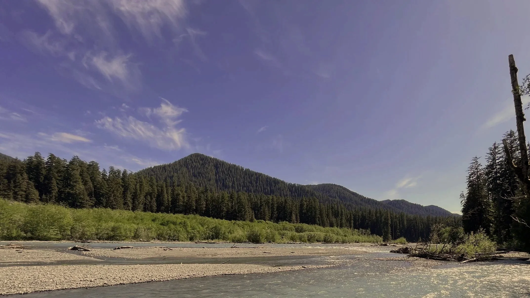 A scenic view of a river flowing through a green forest with tall trees and mountains in the background under a blue sky with some wispy clouds.