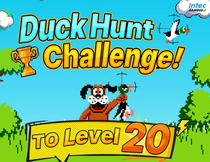 duck hunt crop.png